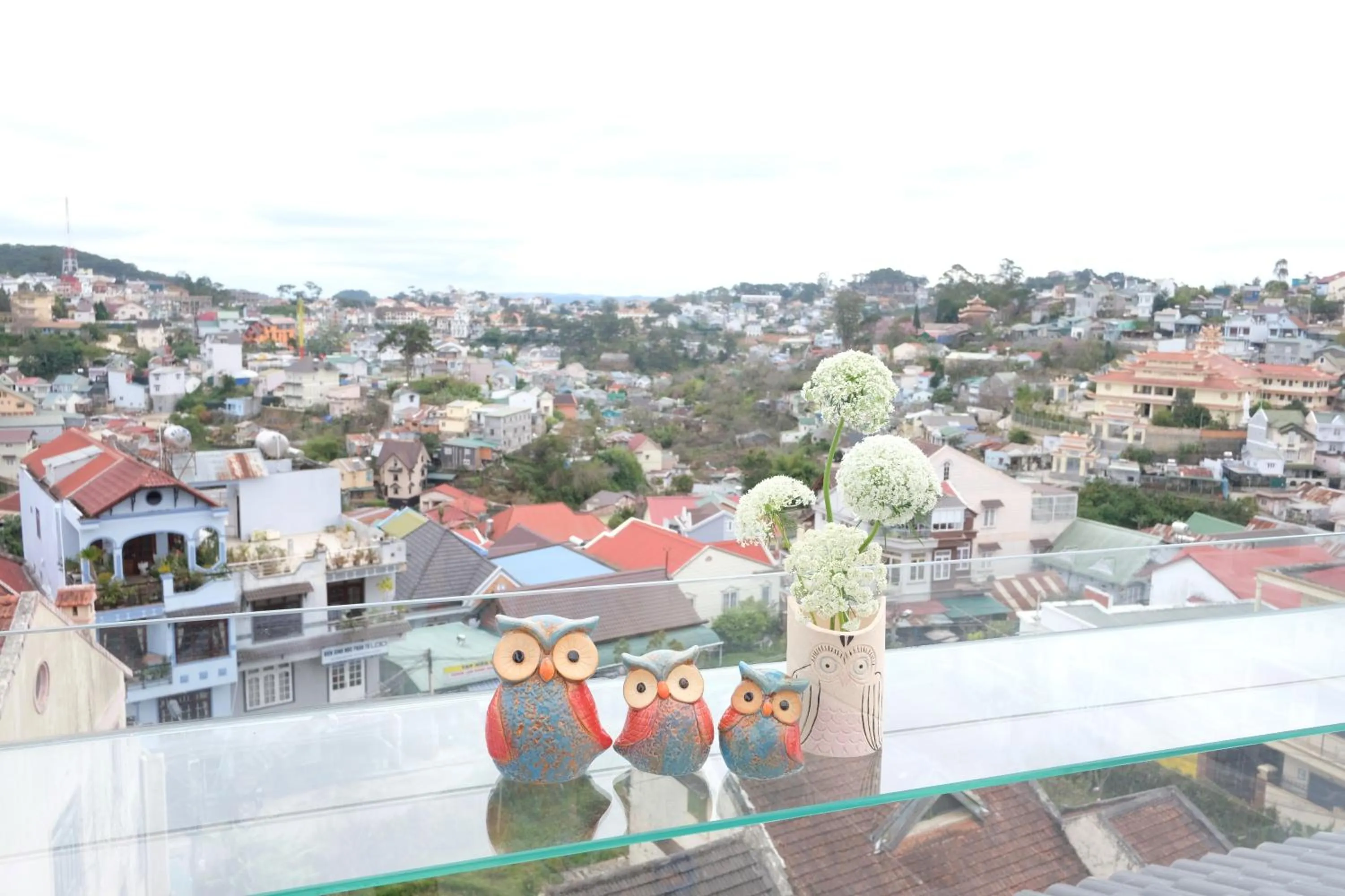 Property building in Dalat Memory Inn