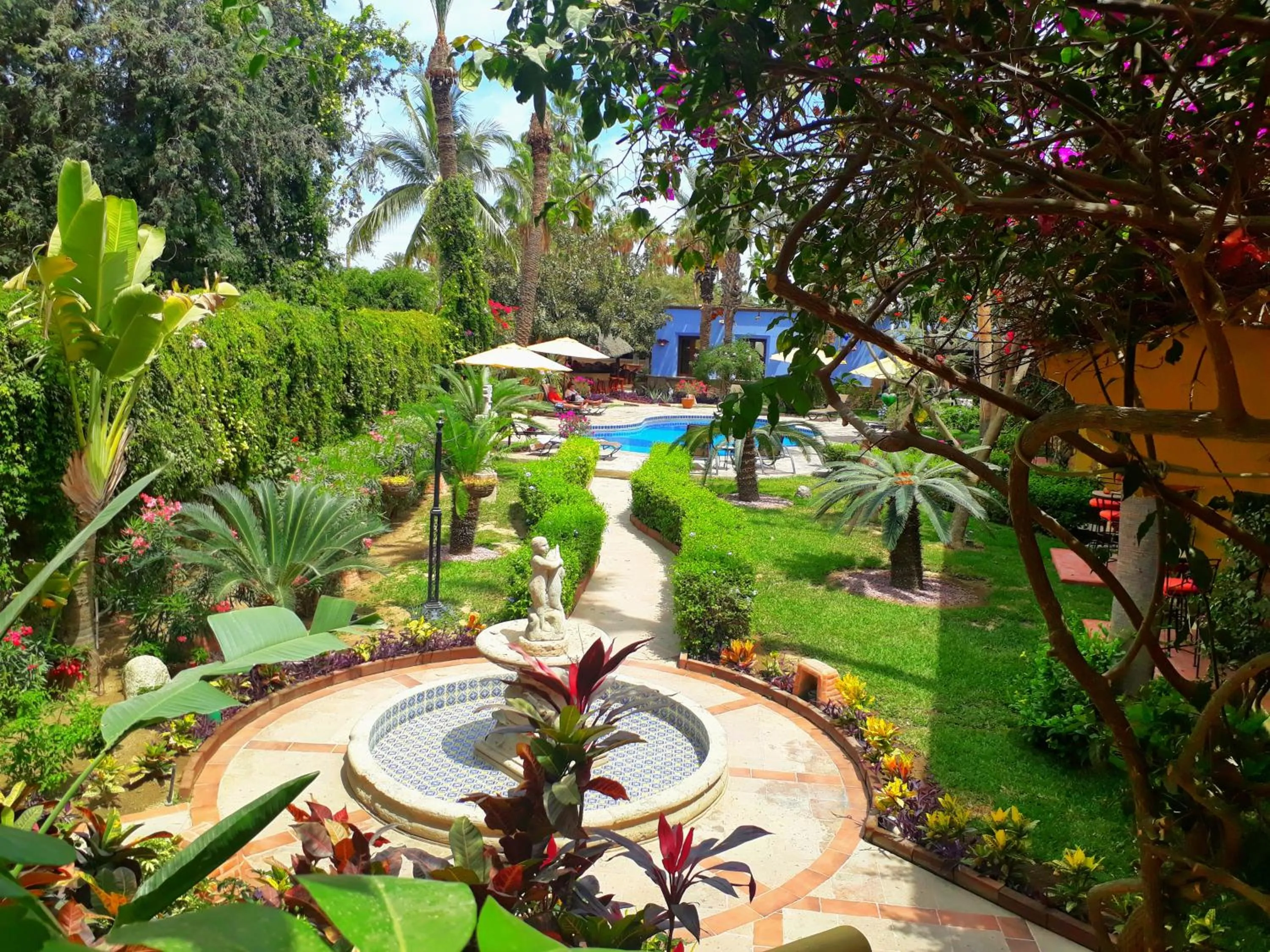 Garden in El Encanto Inn & Suites