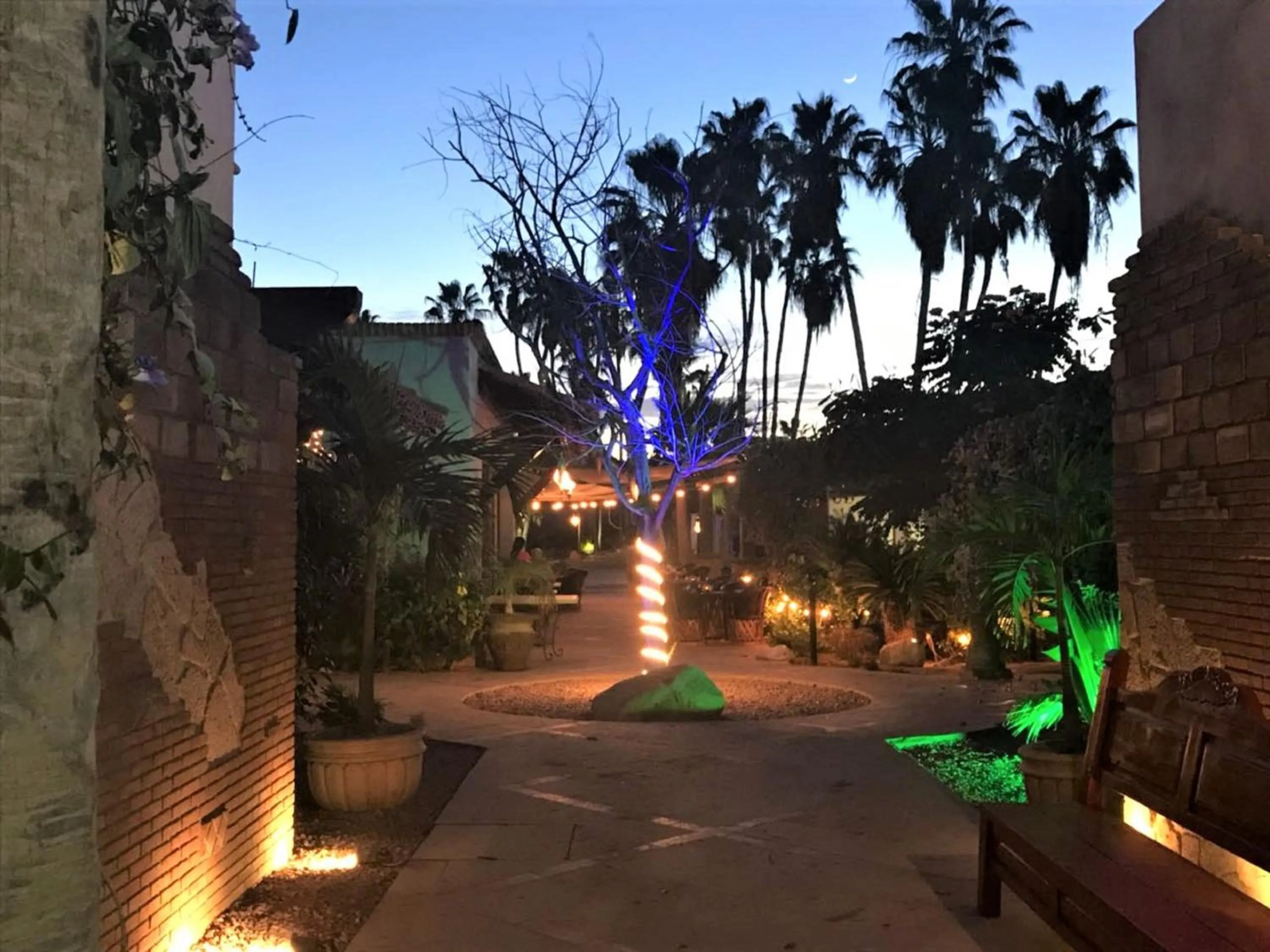 Garden in El Encanto Inn & Suites
