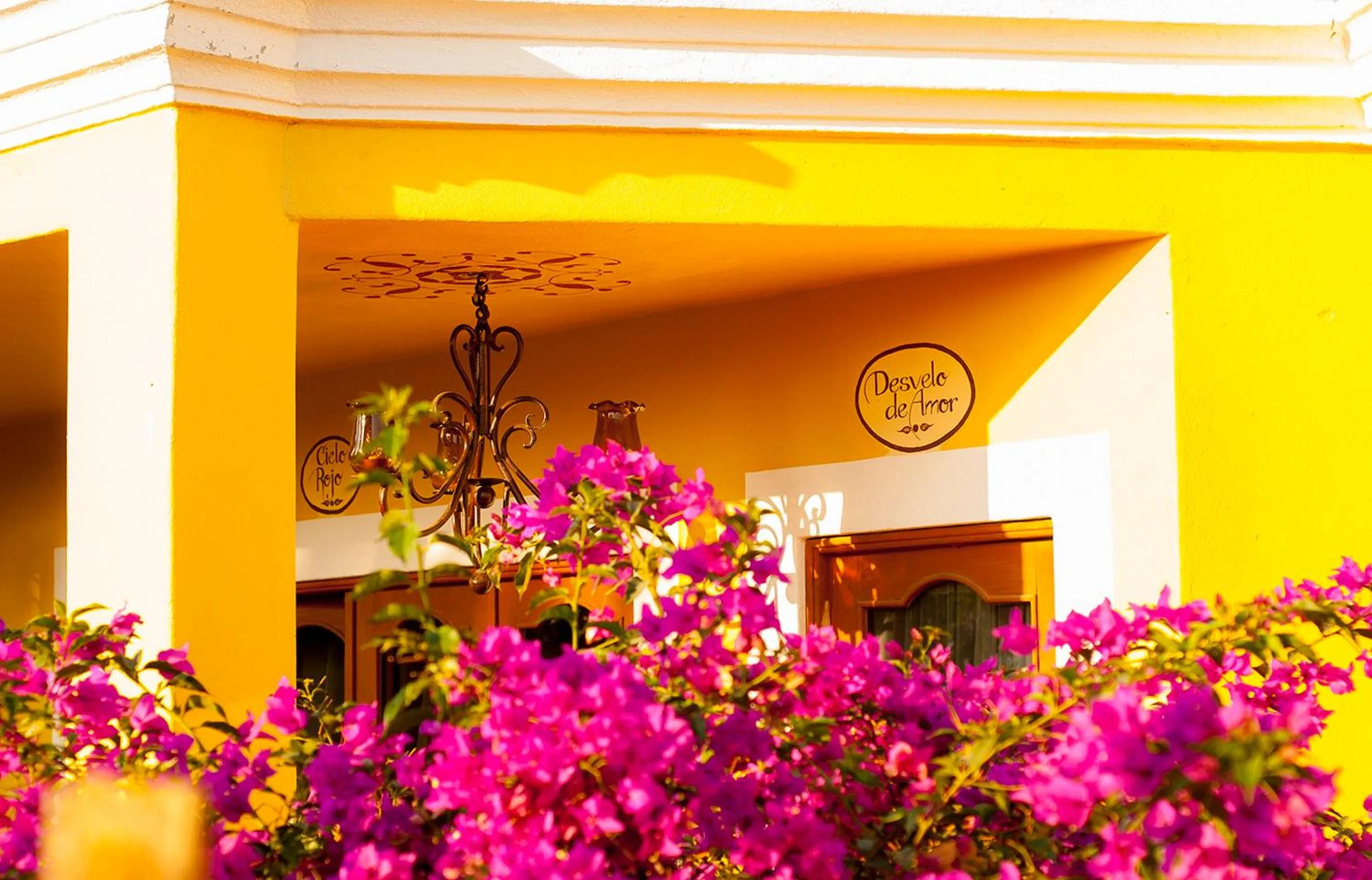 Garden in El Encanto Inn & Suites