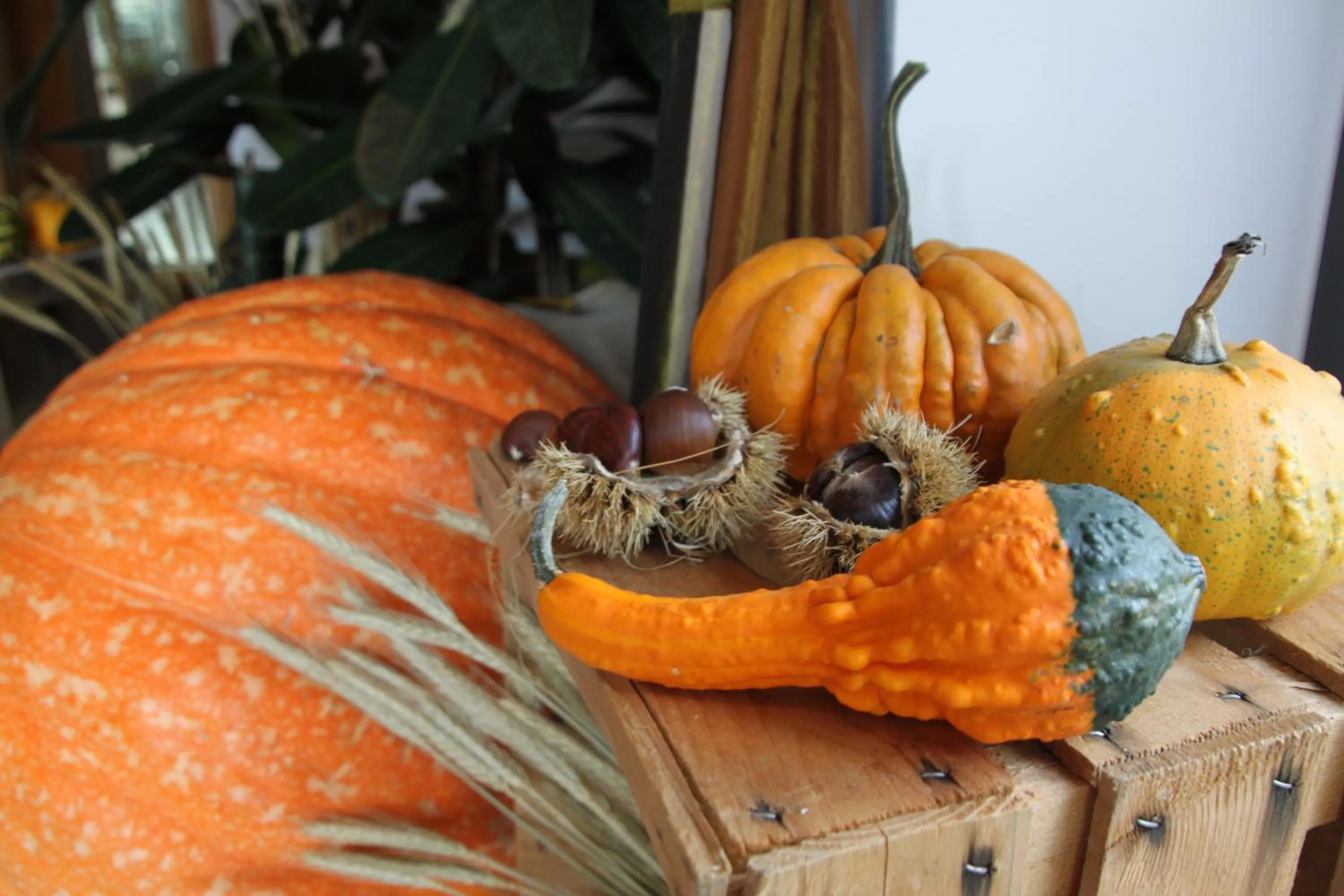 Facade/entrance in Hotel Millanderhof