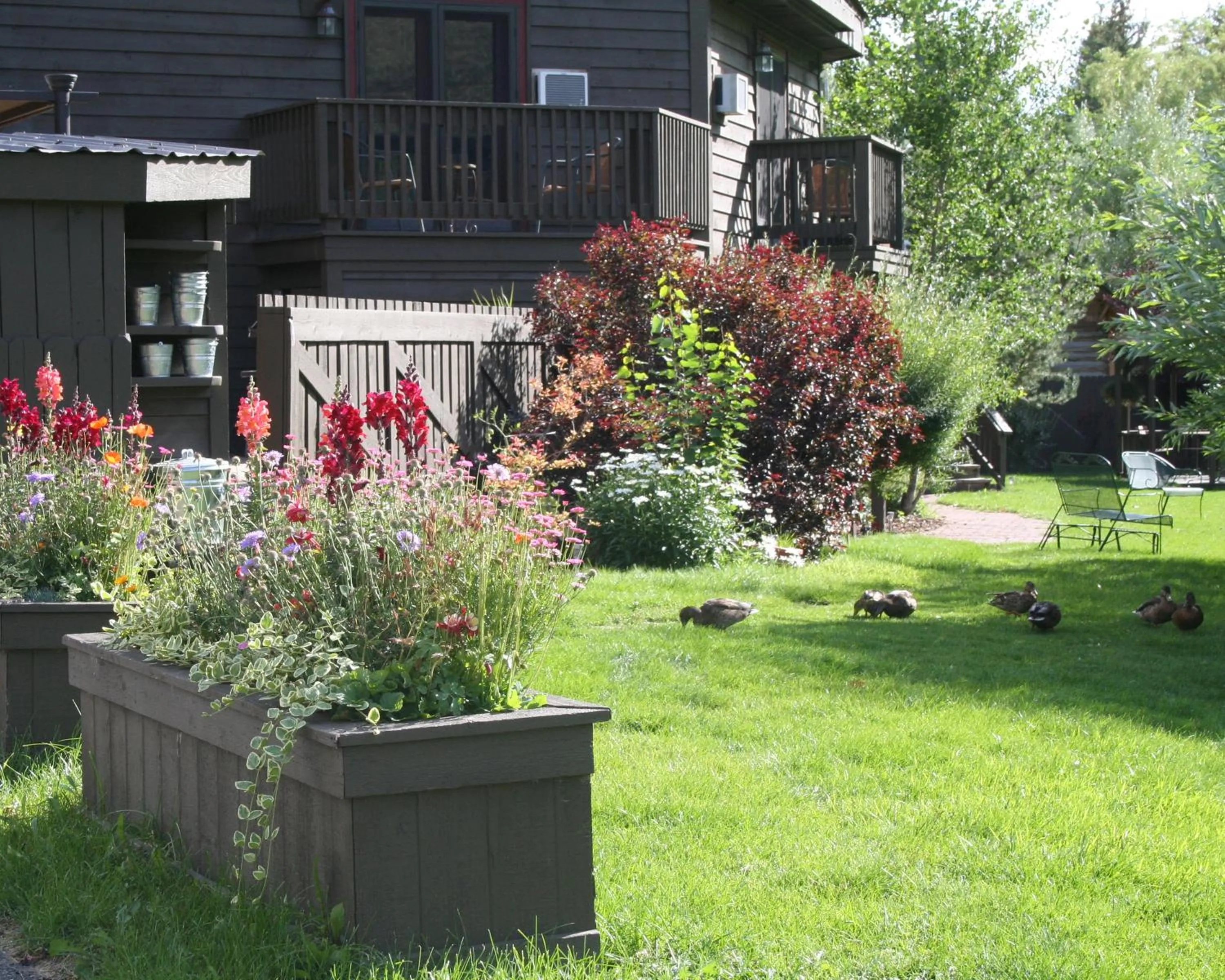 Area and facilities in Inn on The Creek