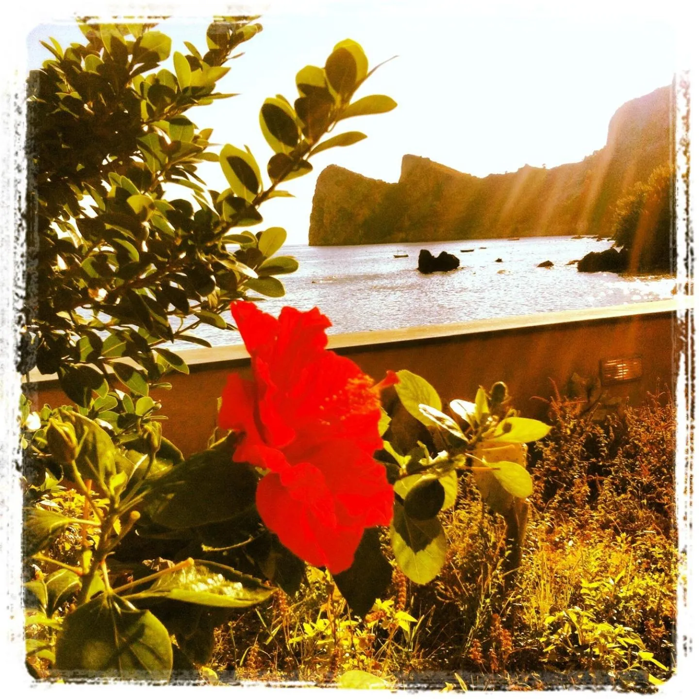 Decorative detail in Lo Scoglio