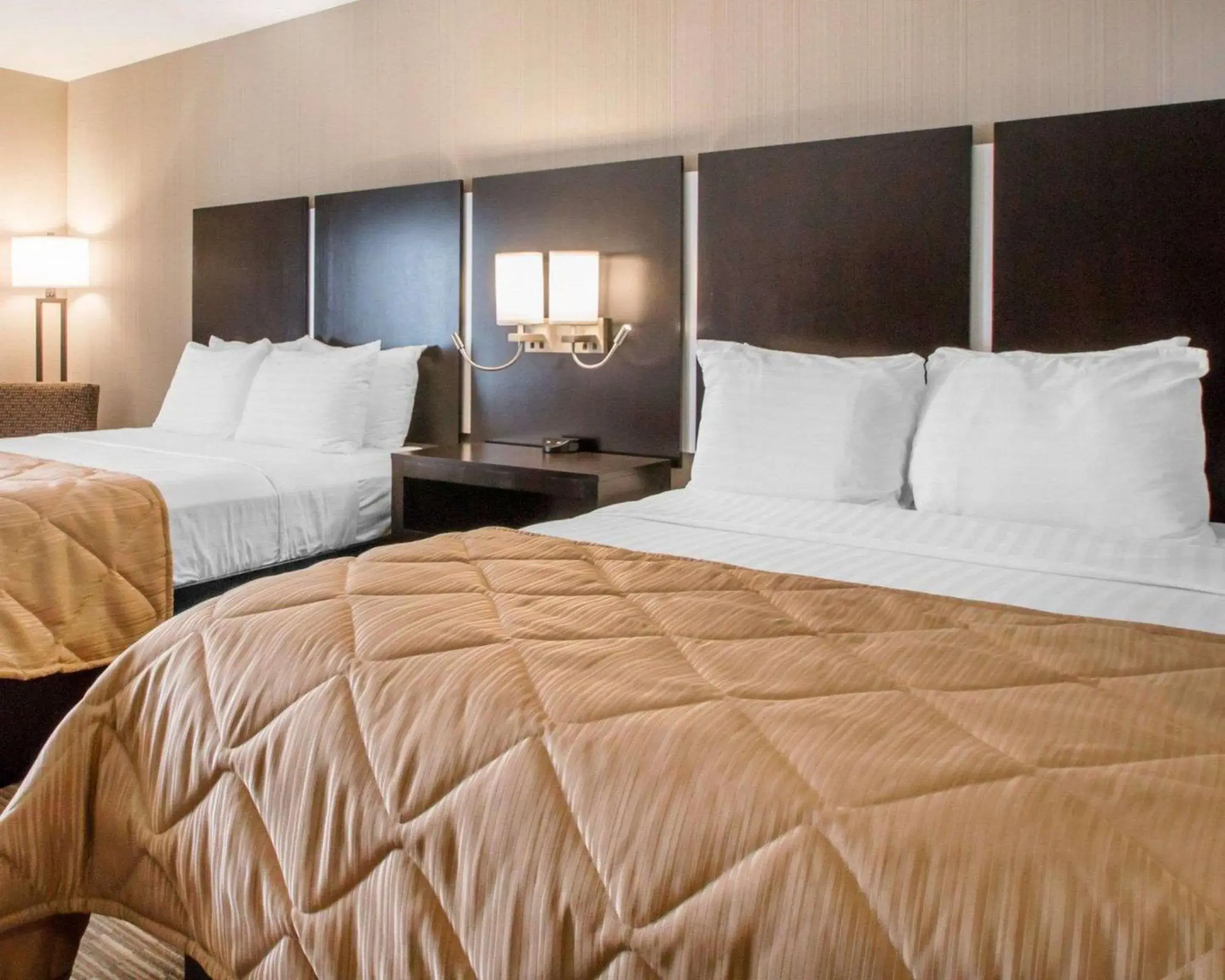 Standard Queen Room with Two Queen Beds in Greenstay Inn & Suites Court View Standard Queen Room with Two Queen Beds in Greenstay Inn & Suites Court View