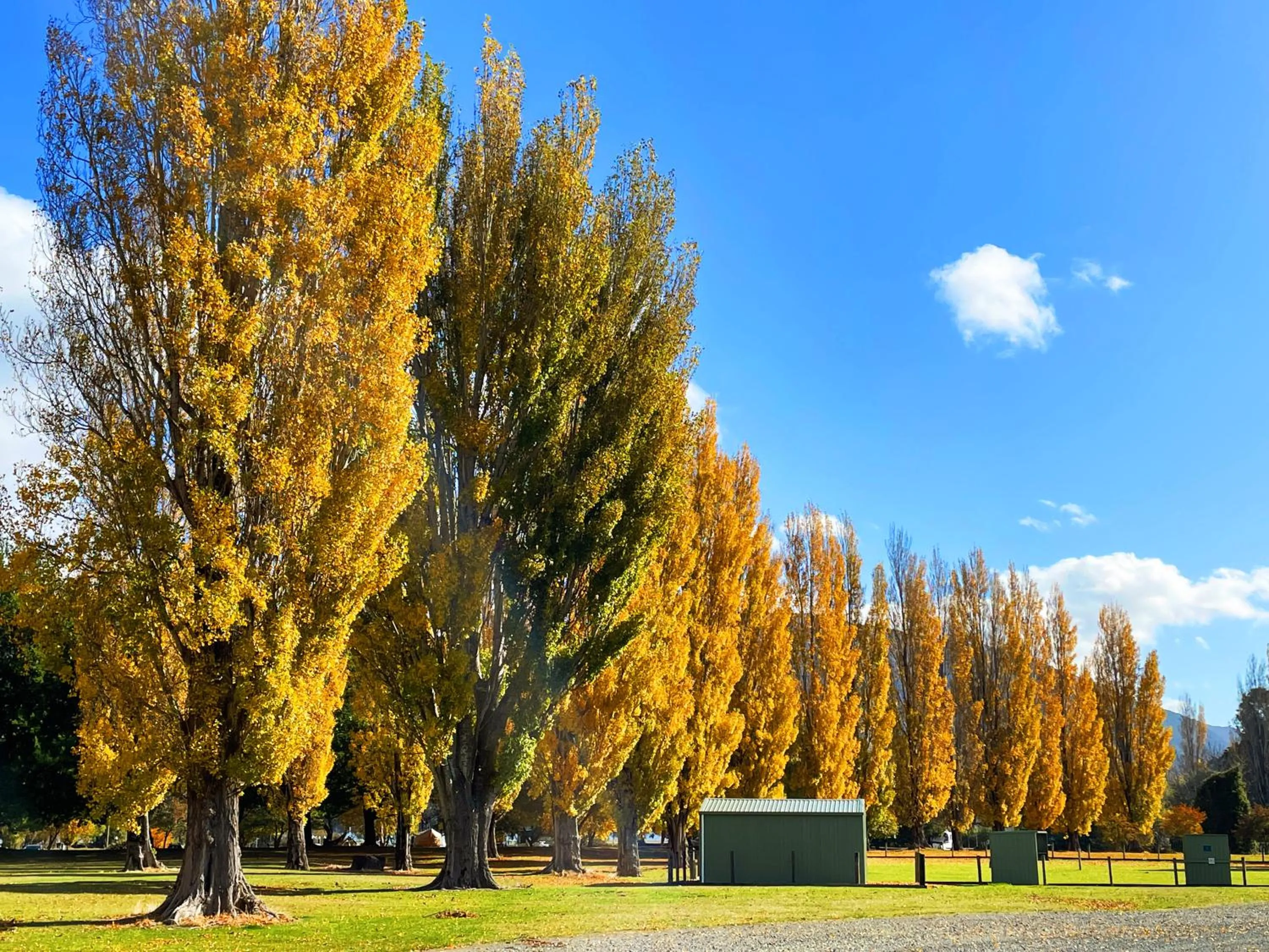 Other in Anchorage Motel Apartments