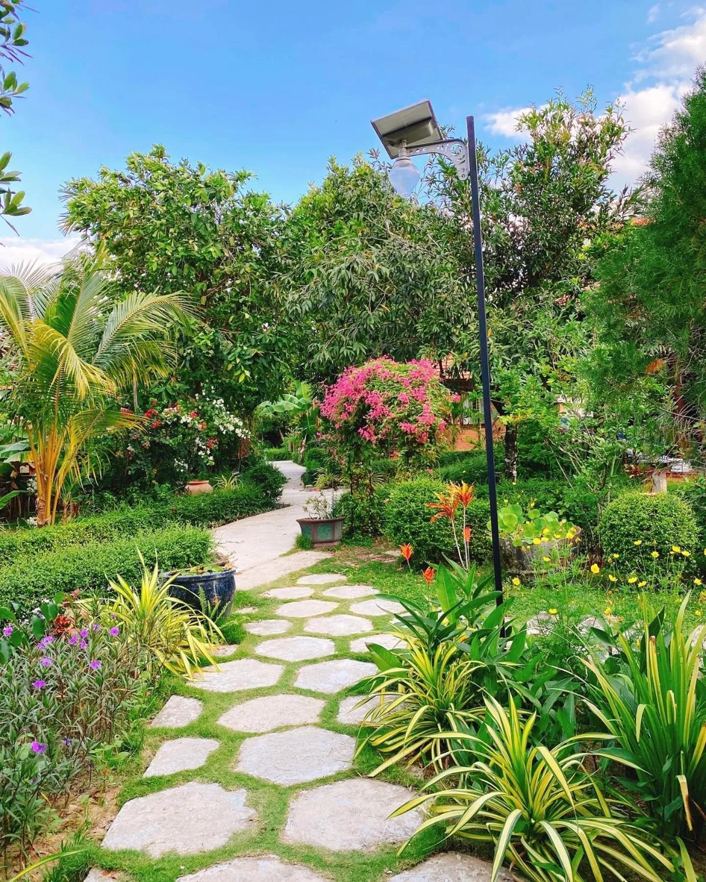 Natural landscape in Thanh Kieu Beach Resort