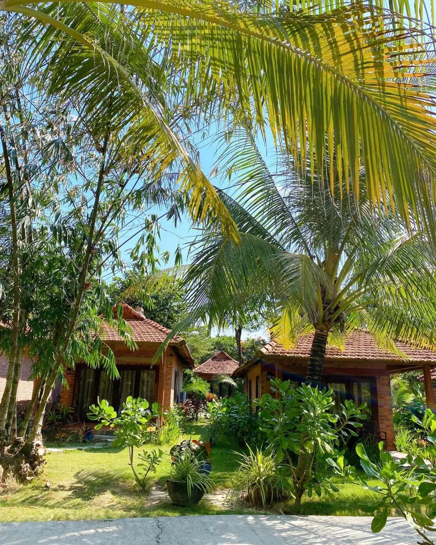 Bungalow with Sea View in Thanh Kieu Beach Resort Bungalow with Sea View in Thanh Kieu Beach Resort