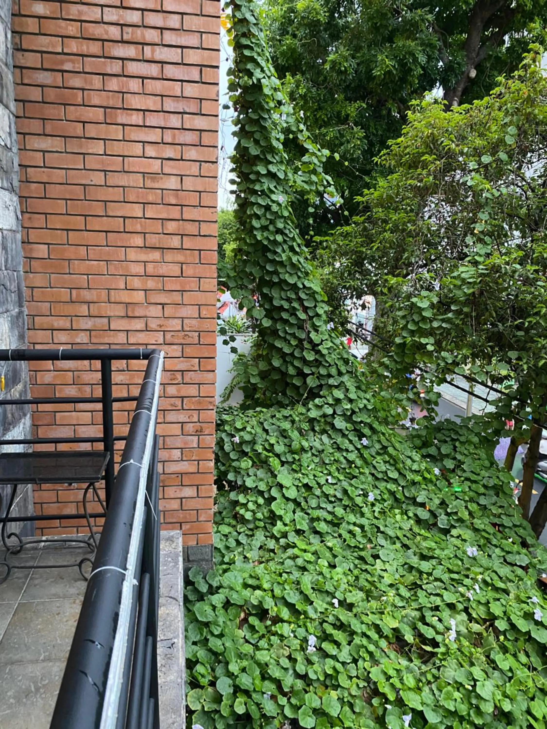 Khách sạn Minh Châu - Hòa Hưng