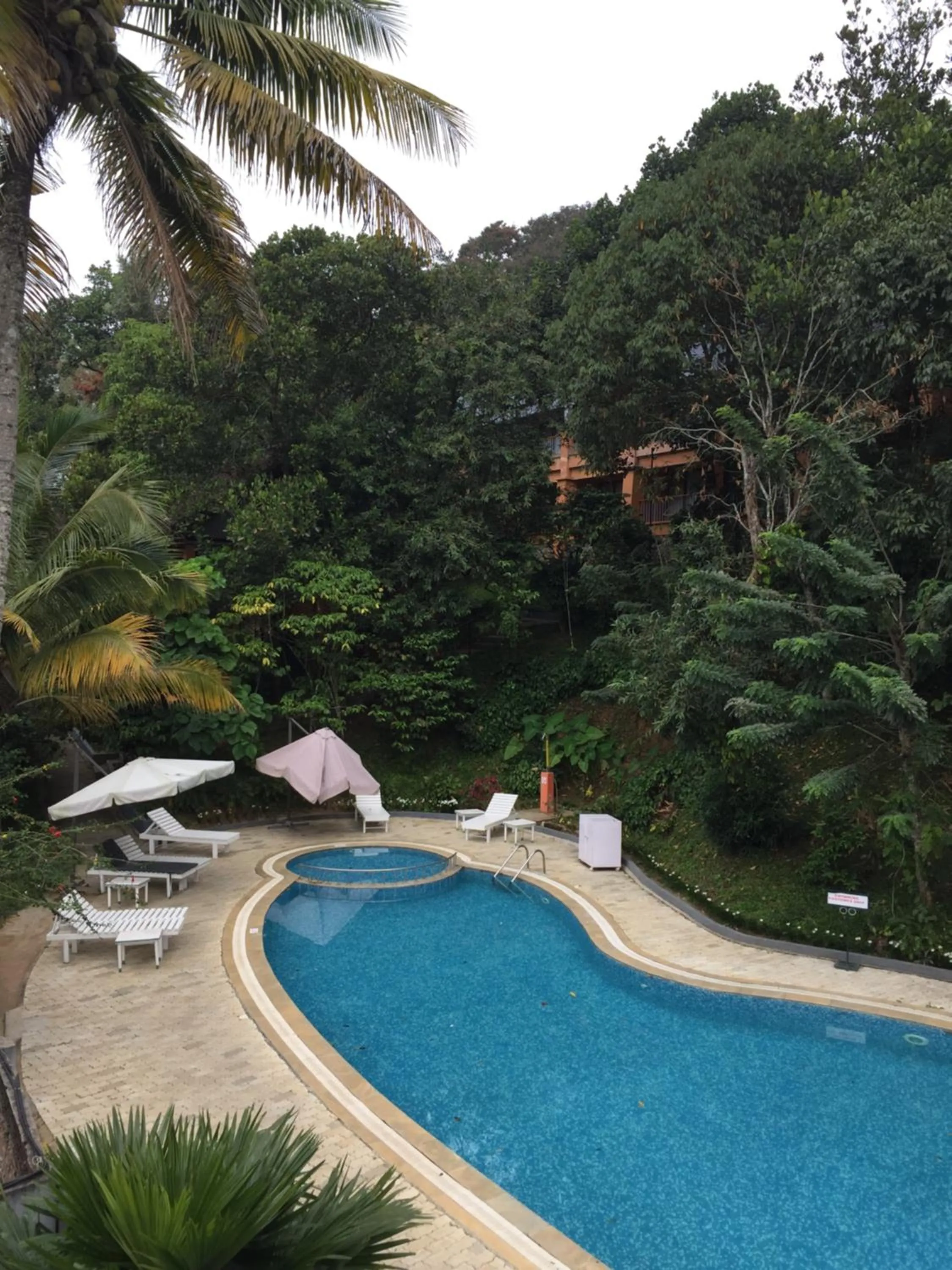 Swimming pool in Abad Green Forest Thekkady