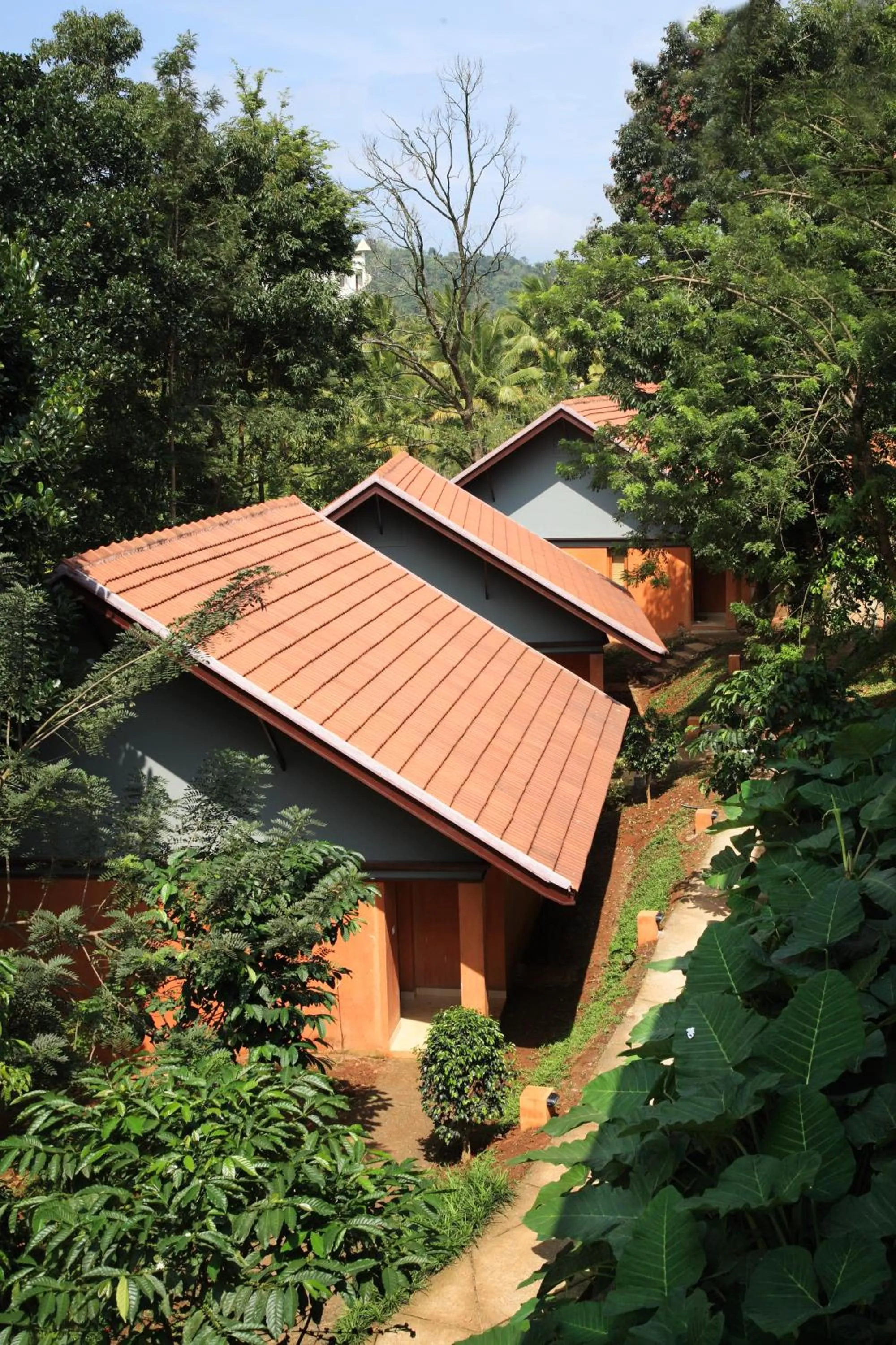 Property building in Abad Green Forest Thekkady