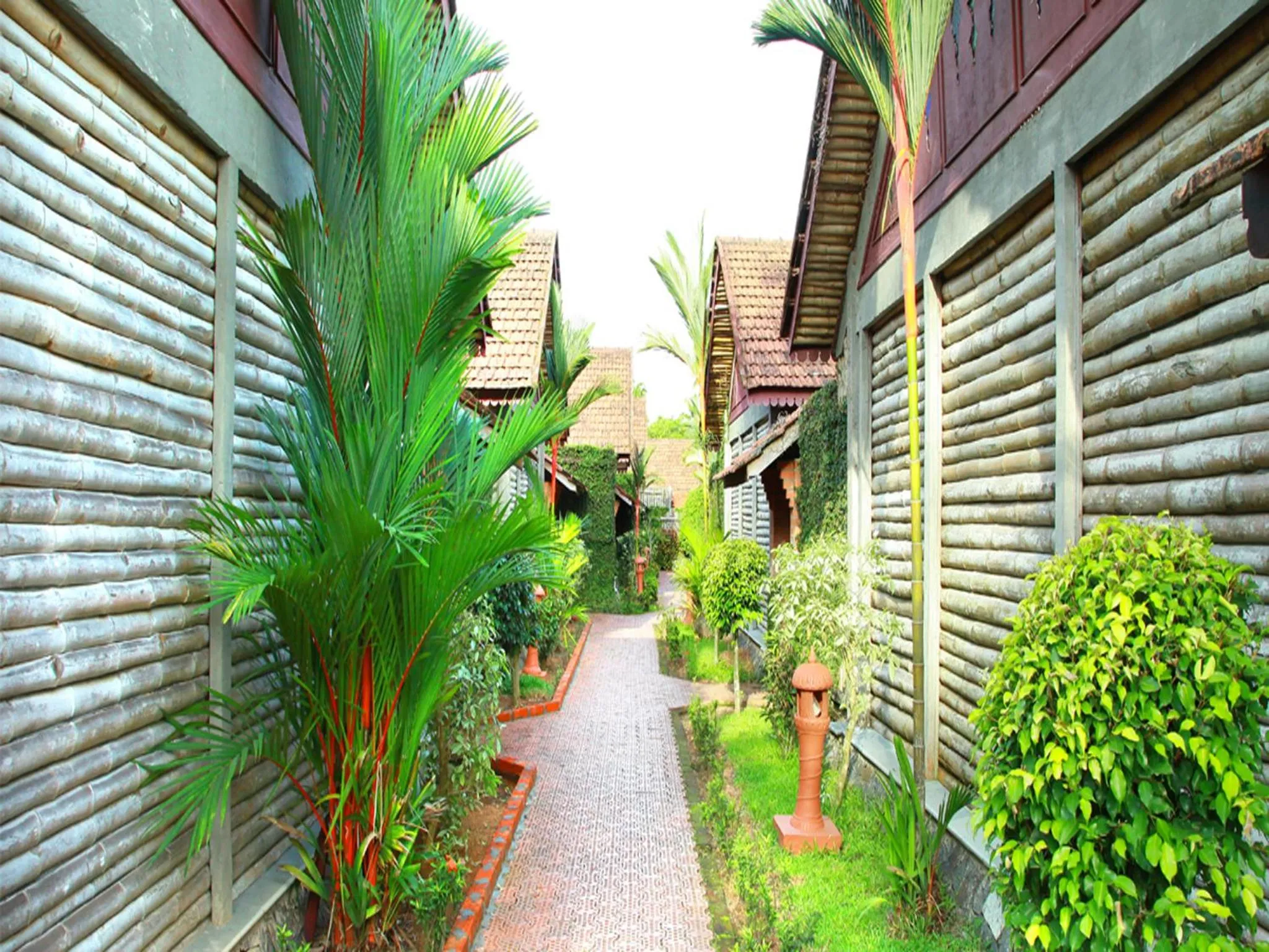 Day in Abad Whispering Palms