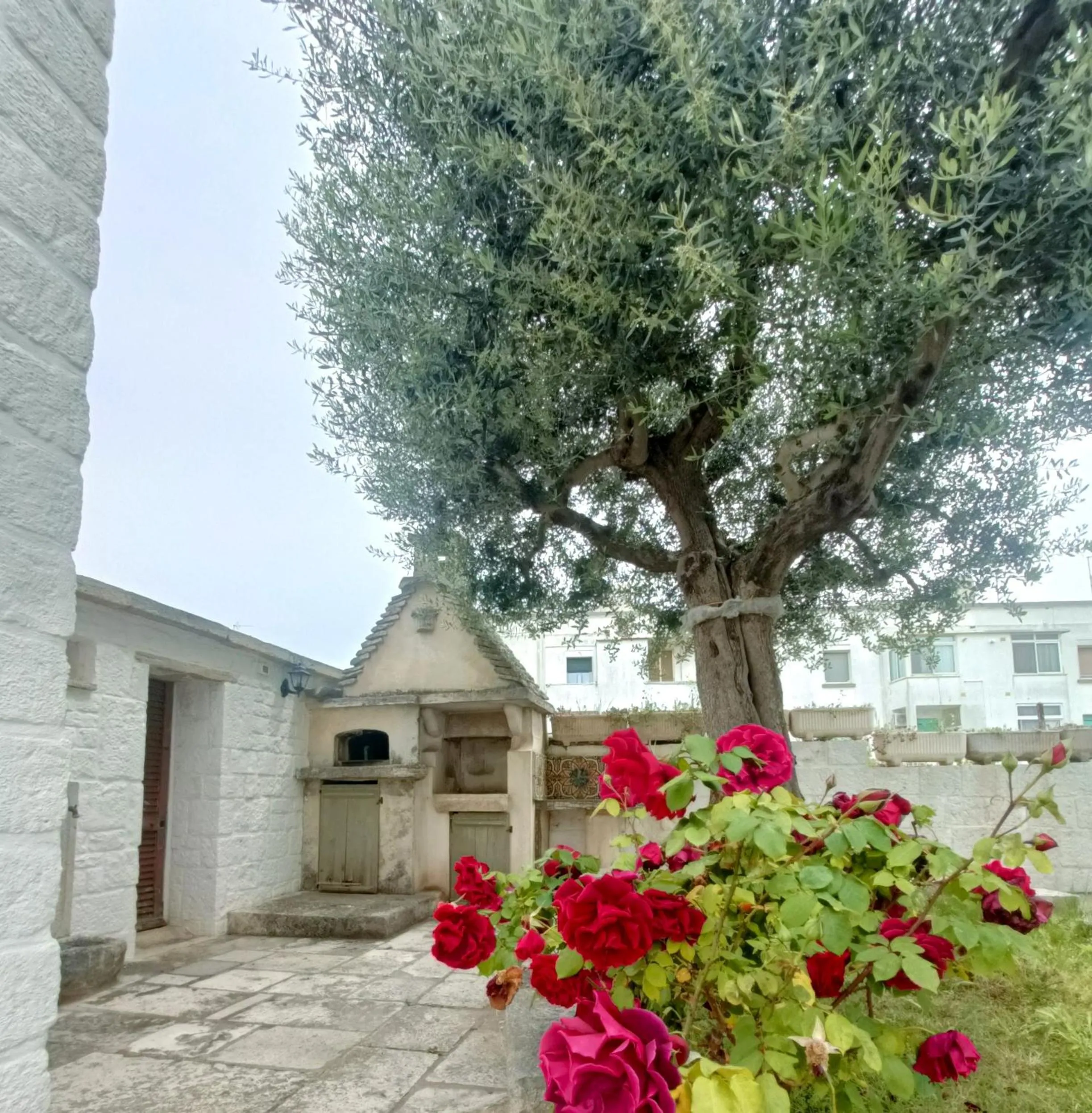 Garden in Trulli Soave
