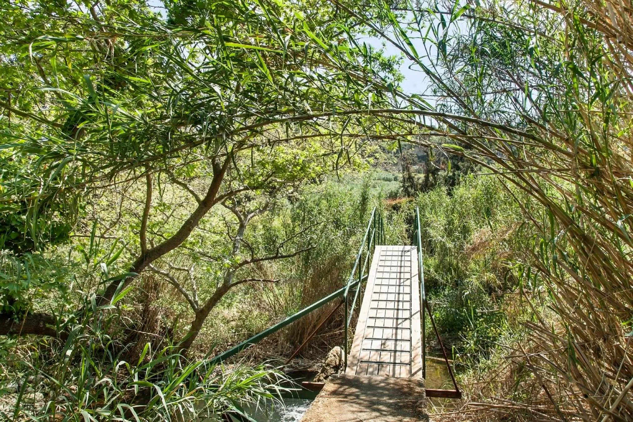 Natural landscape in Estate Kares
