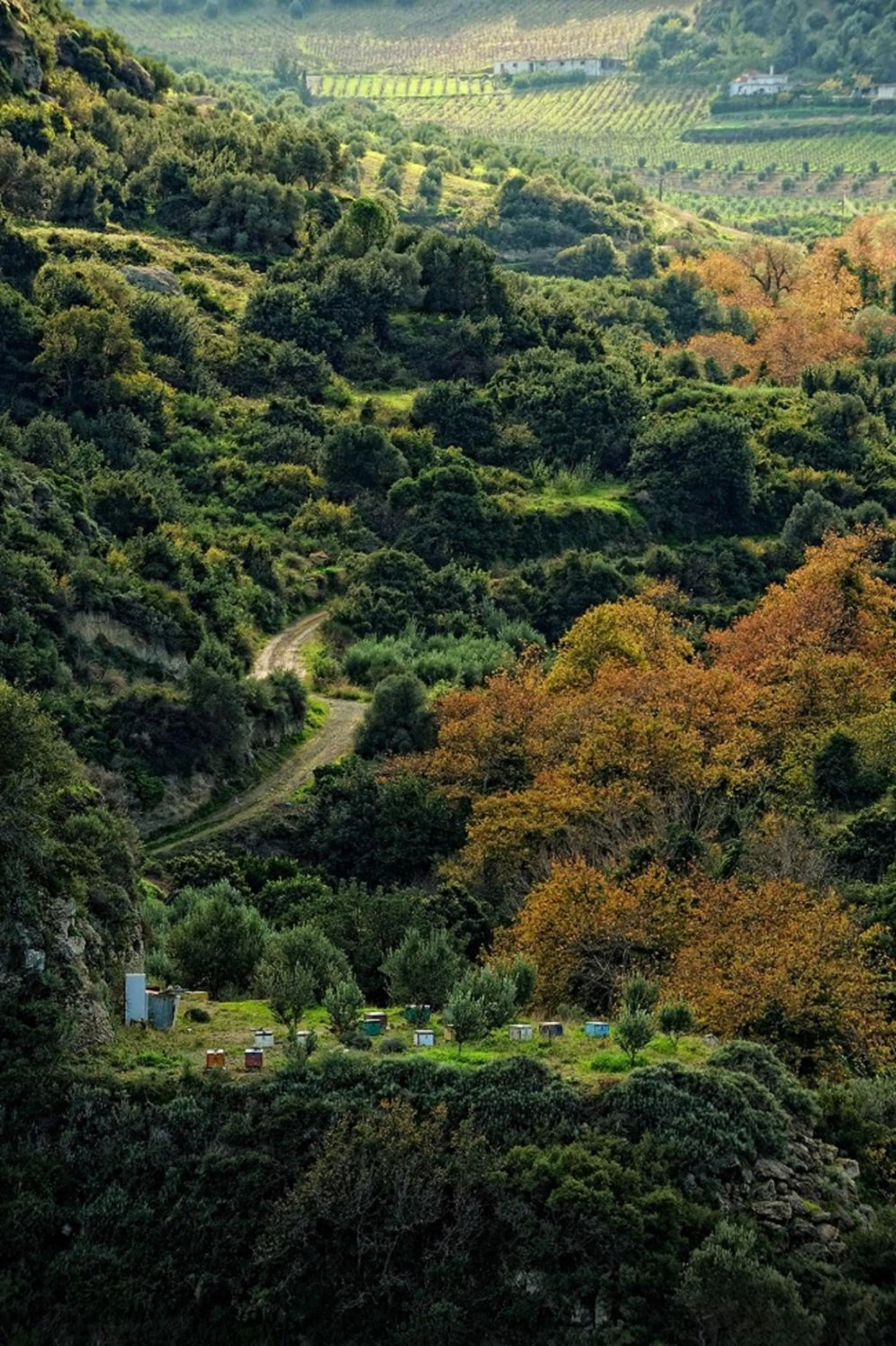 Natural landscape in Estate Kares