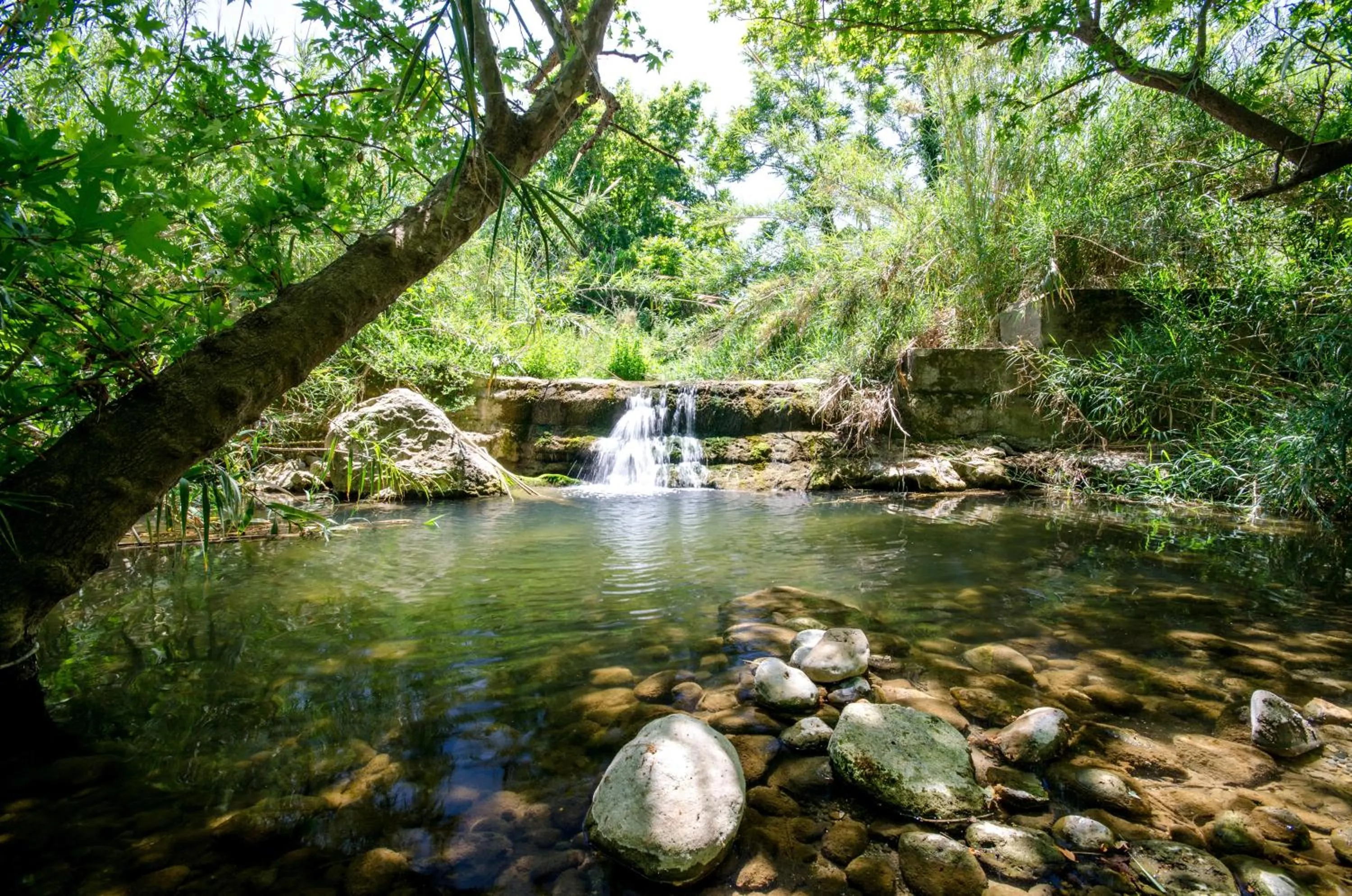 Garden in Estate Kares