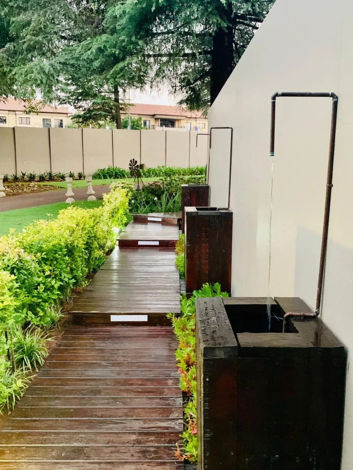 Garden in Diamond Rose Guest House