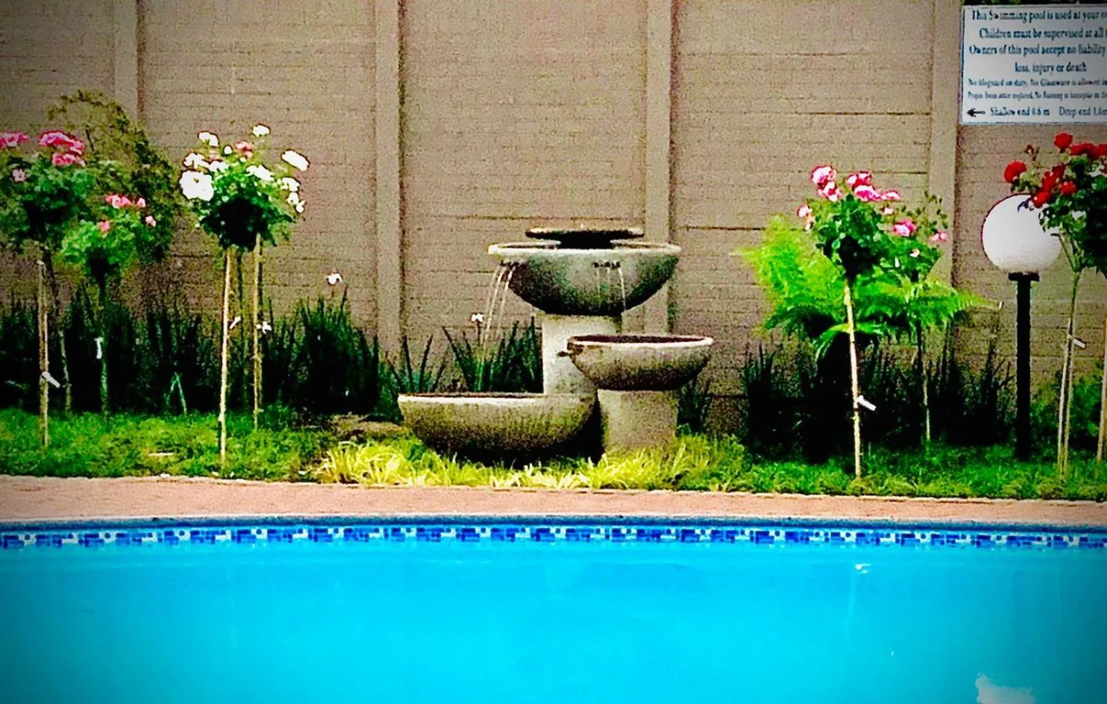 Garden in Diamond Rose Guest House