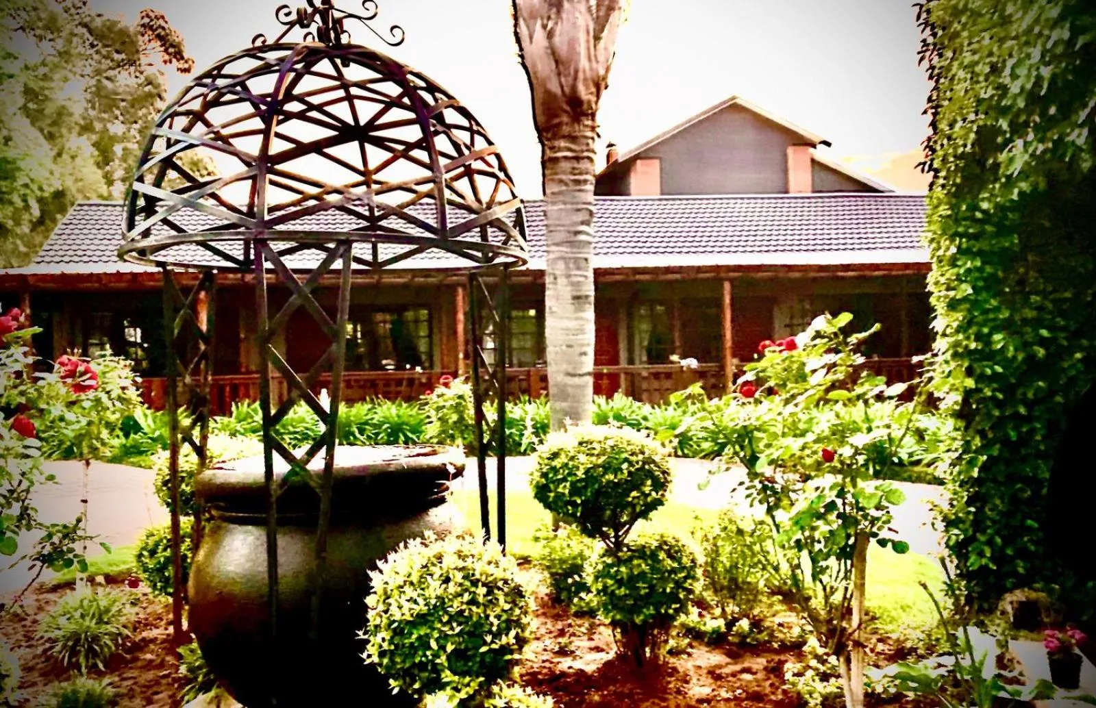 Garden in Diamond Rose Guest House