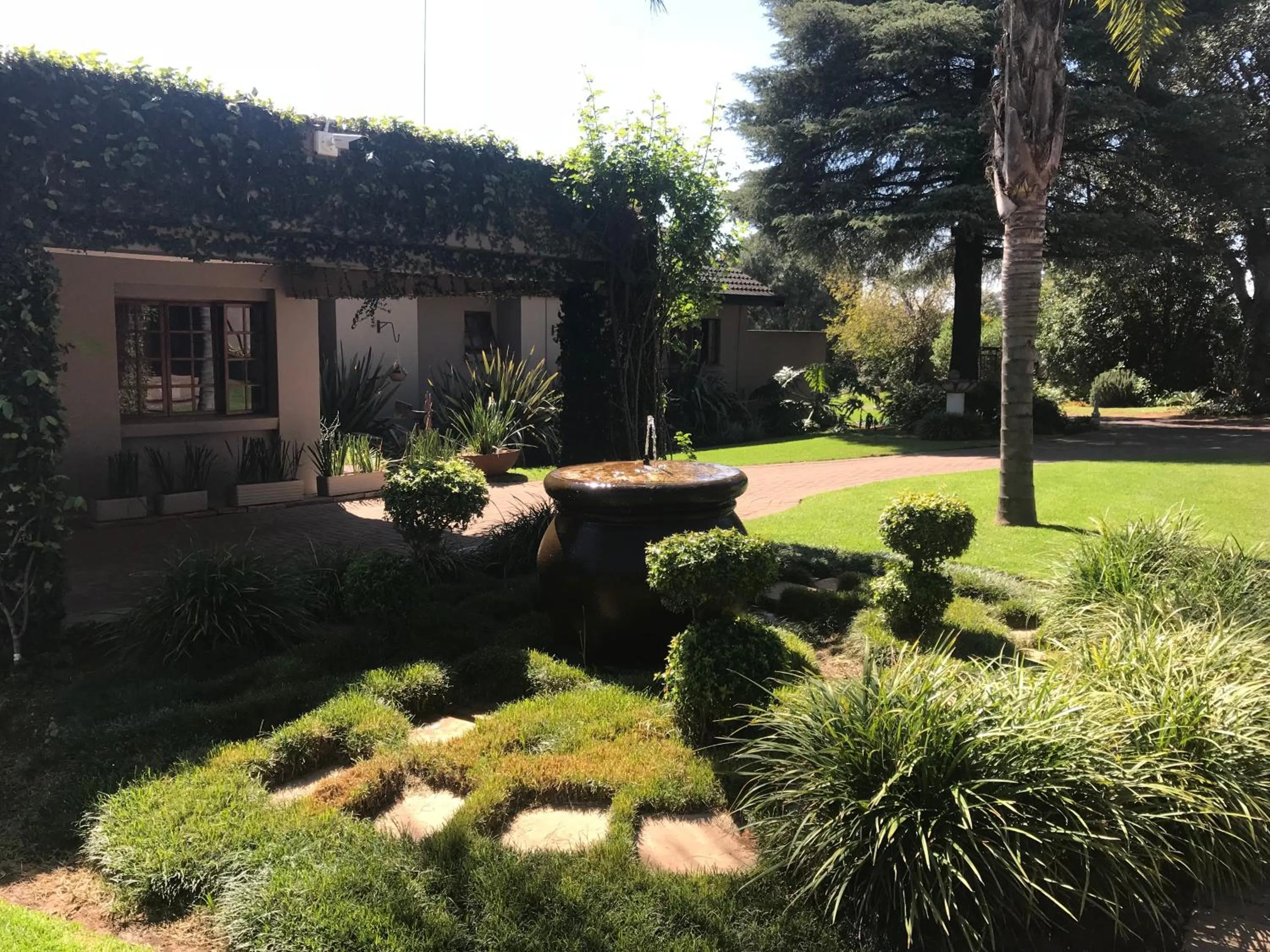 Garden in Diamond Rose Guest House