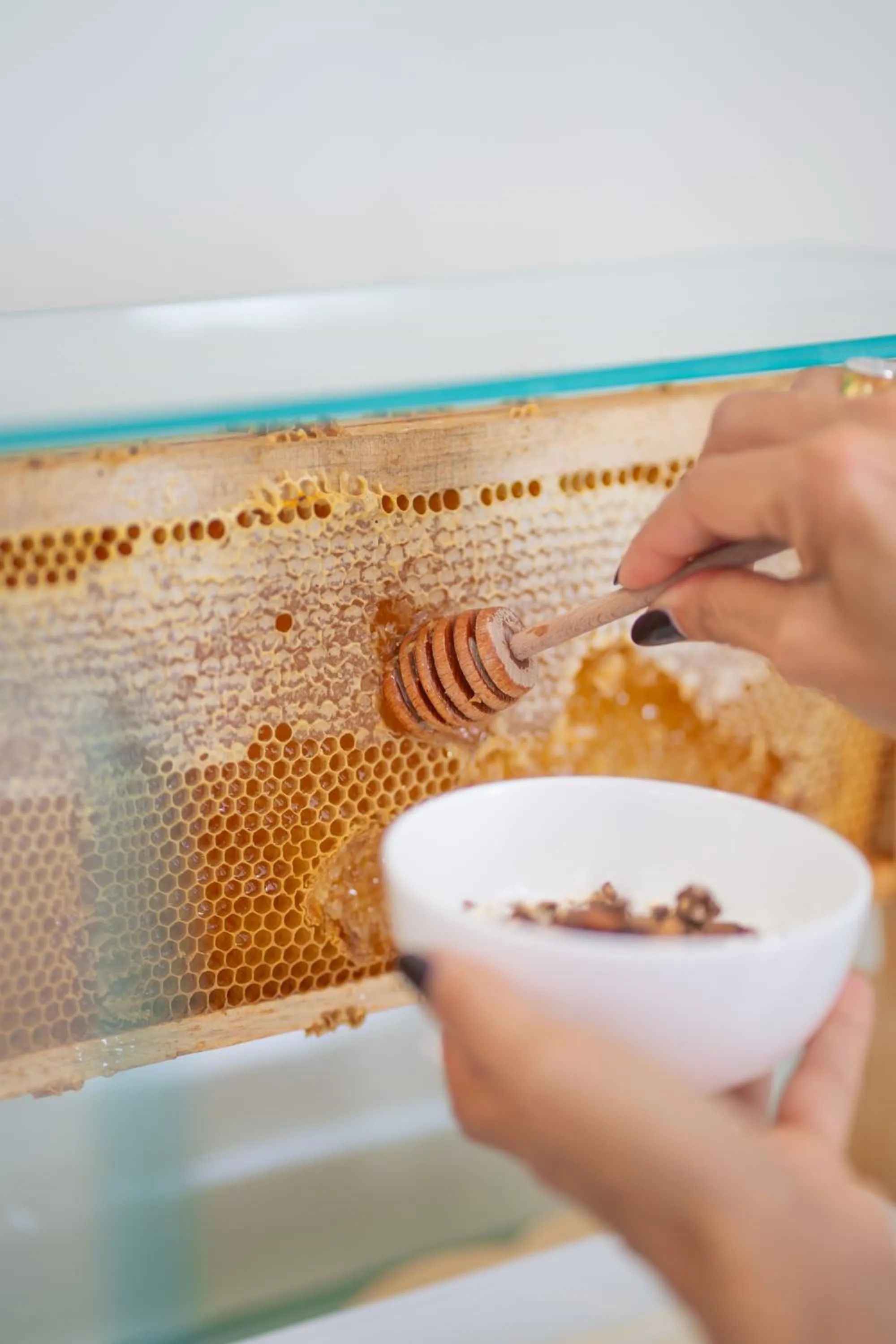 Food and drinks in Hotel Bernard