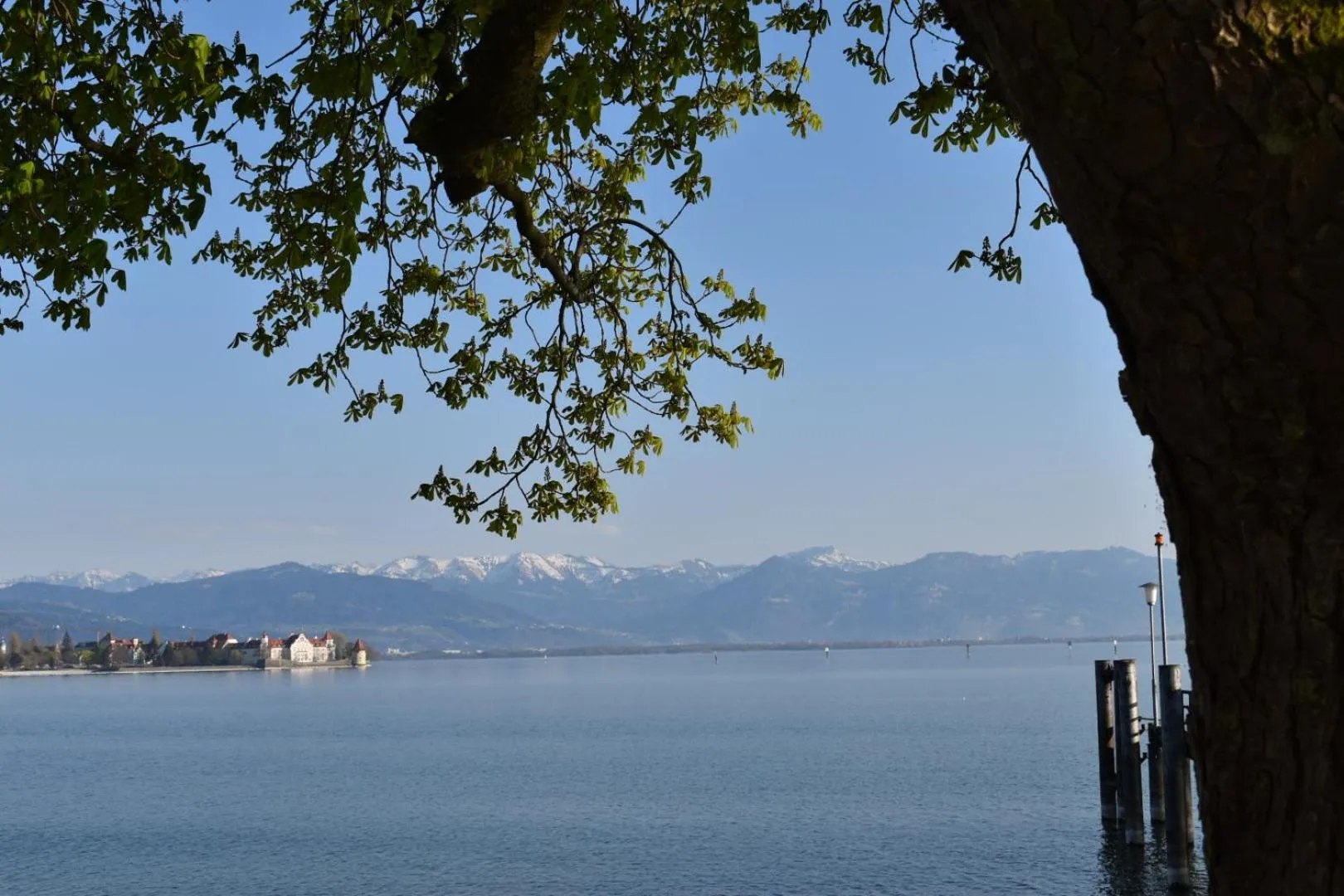 Natural landscape in Hotel Lindenallee