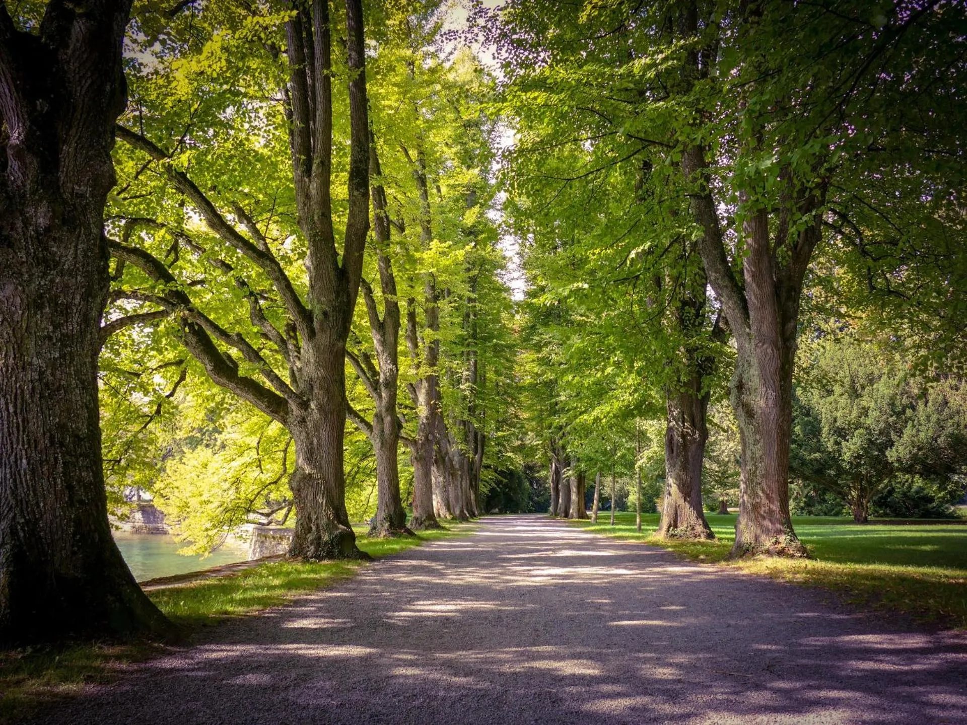 Natural landscape in Hotel Lindenallee
