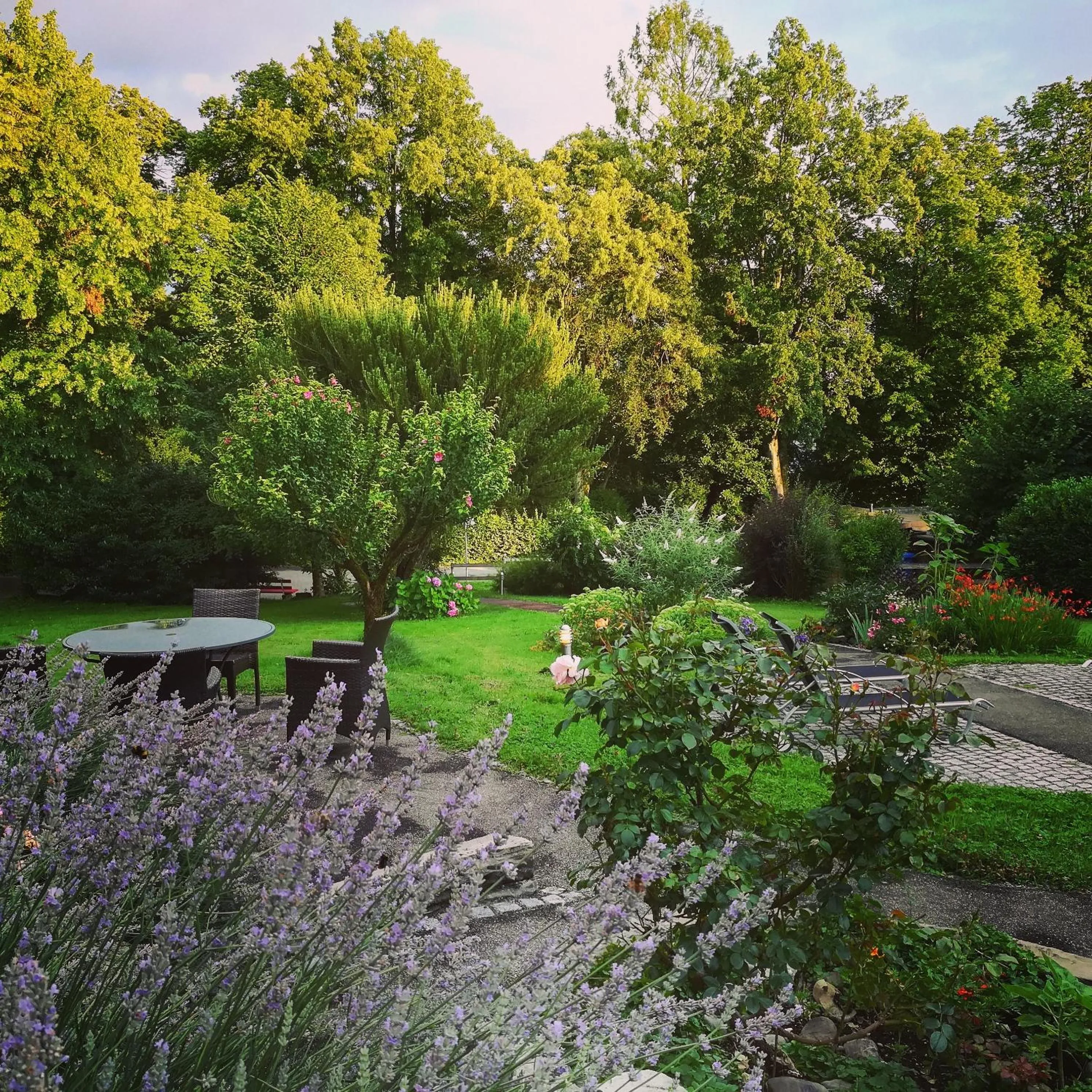 Garden in Hotel Lindenallee