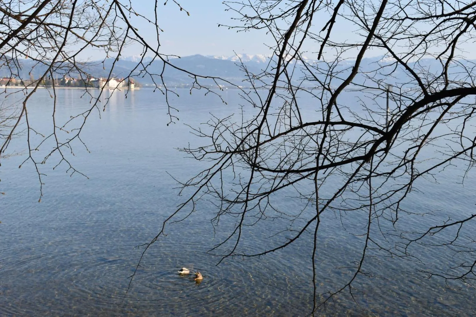 Natural landscape in Hotel Lindenallee