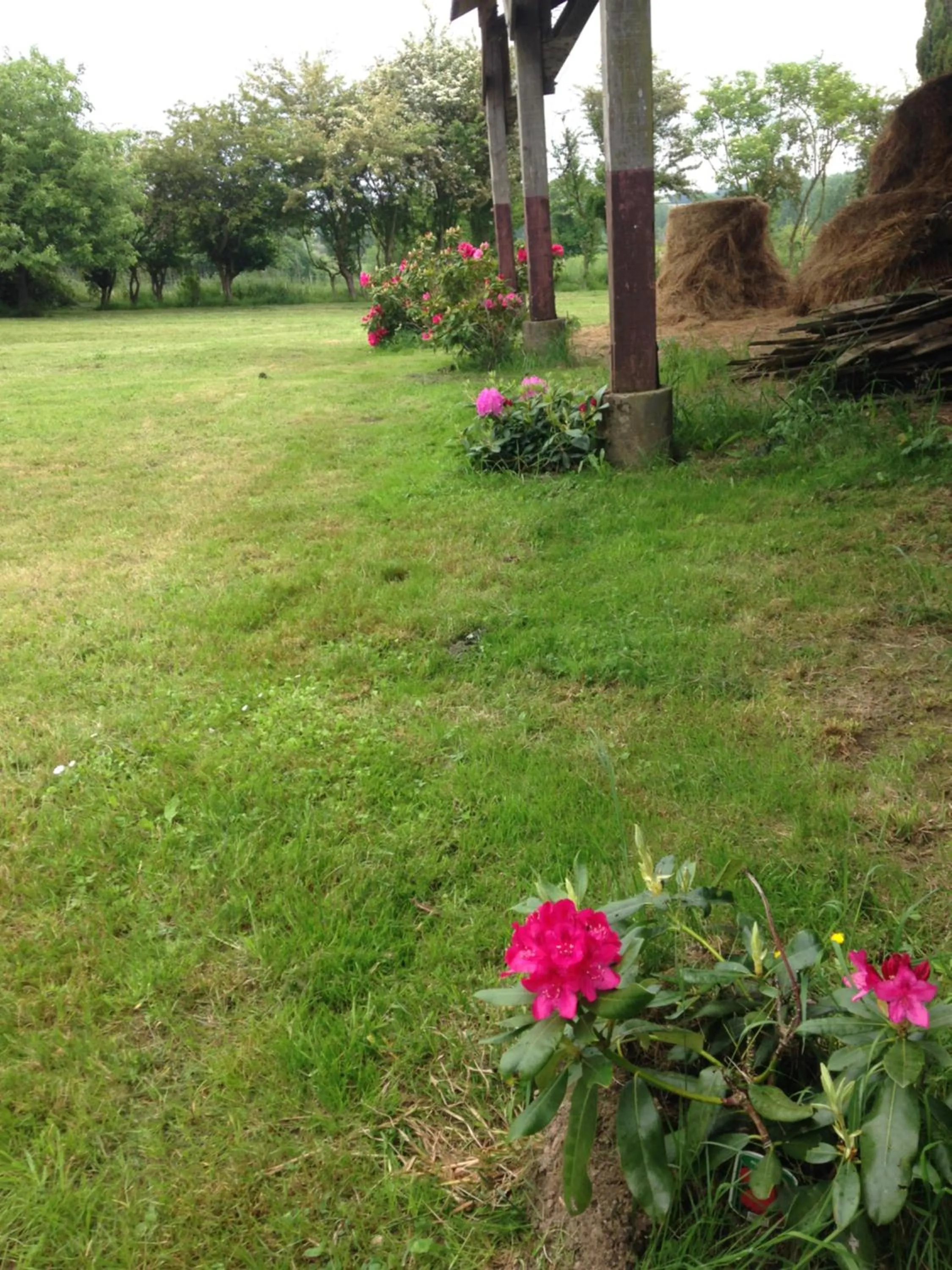 Garden in La Moulinière, jolie longère du XVIIè 25, chemin de la Source