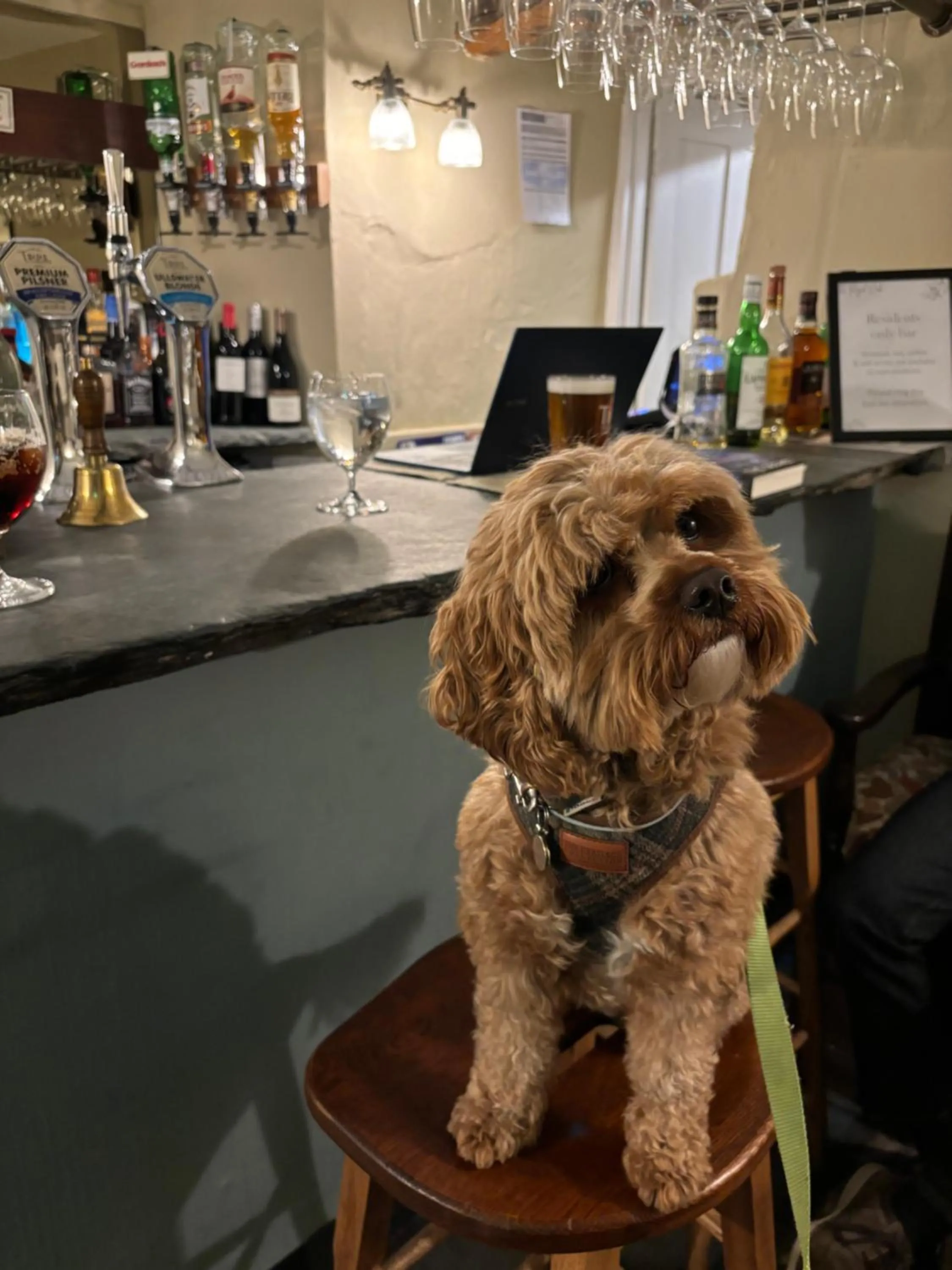 Lounge or bar in Royal Oak Hotel