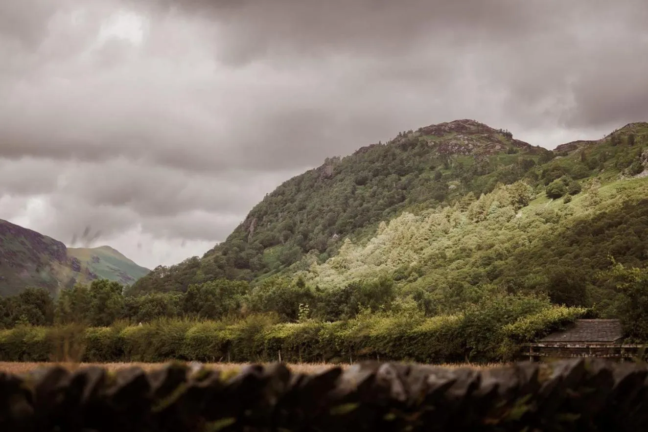 Natural landscape in Royal Oak Hotel