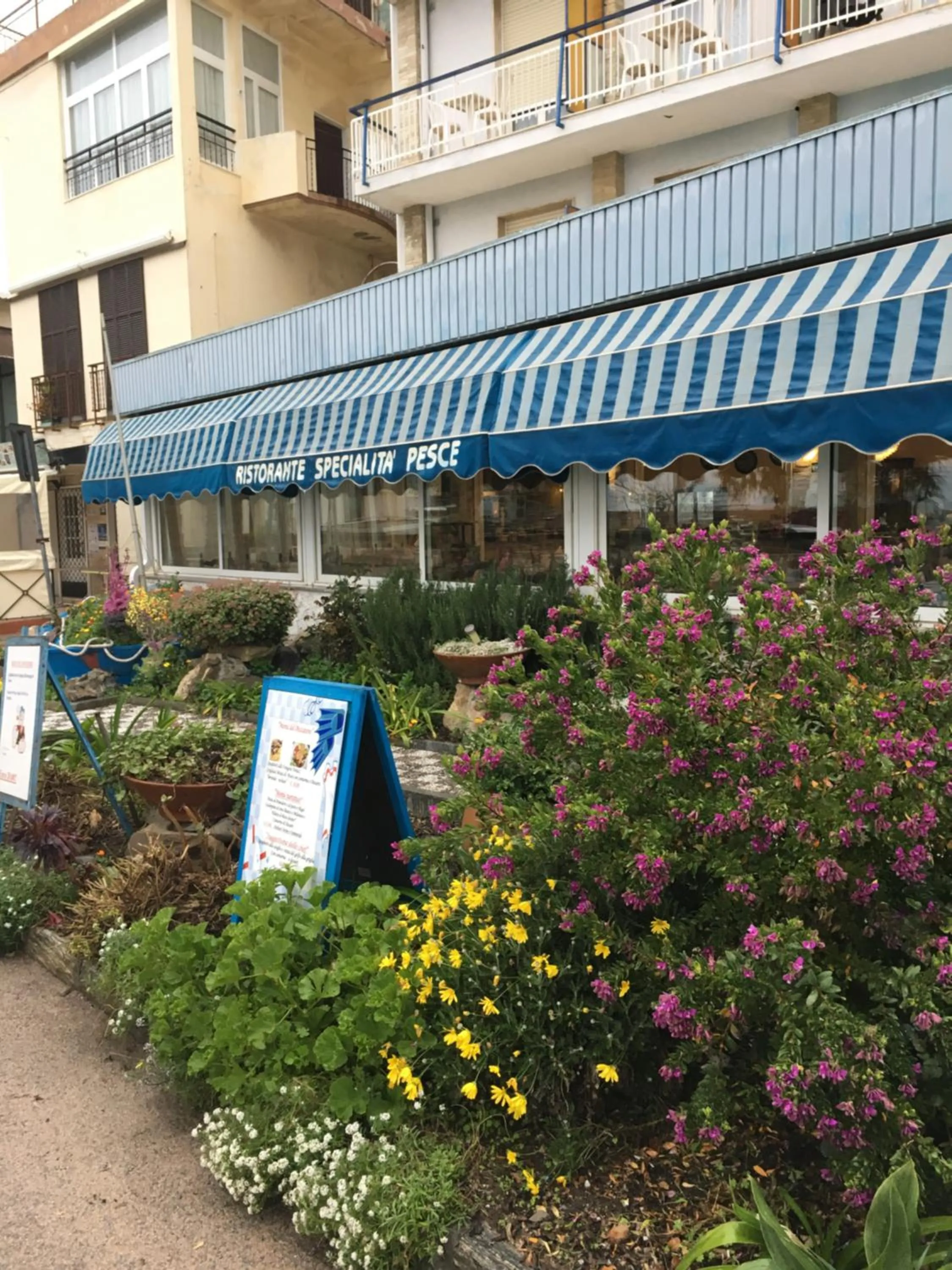 Garden in Hotel Svizzera