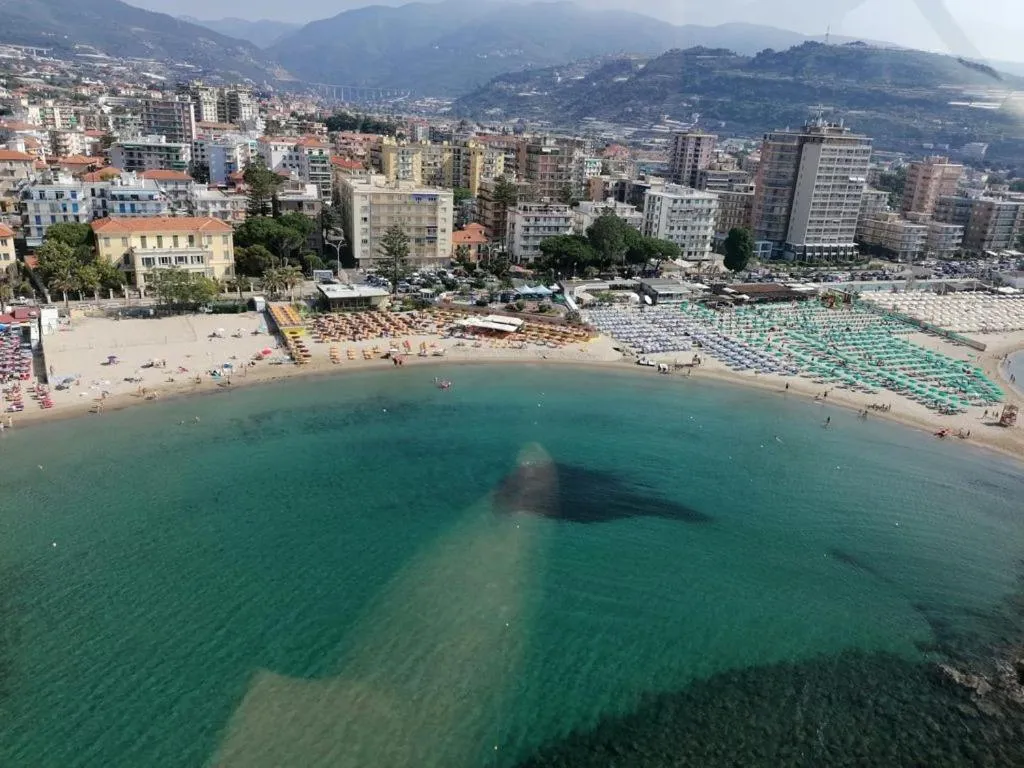 Natural landscape in Hotel Svizzera