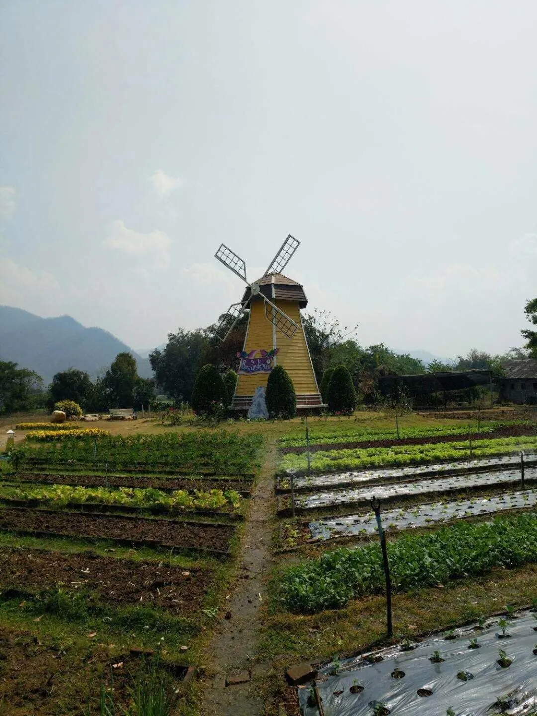 Garden in Baan Kung Kang De Pai