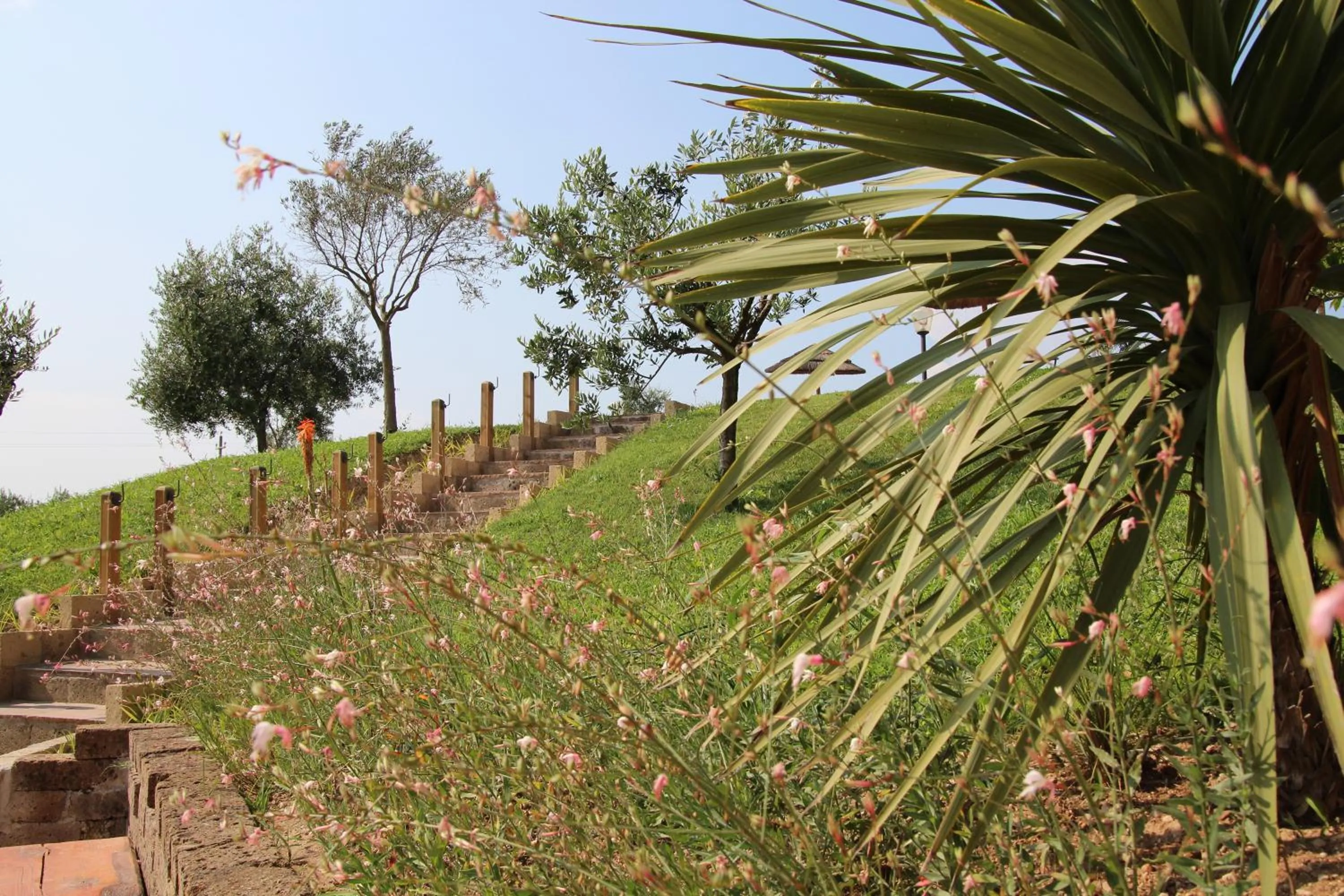 Garden in Bertoletta Village Apartments