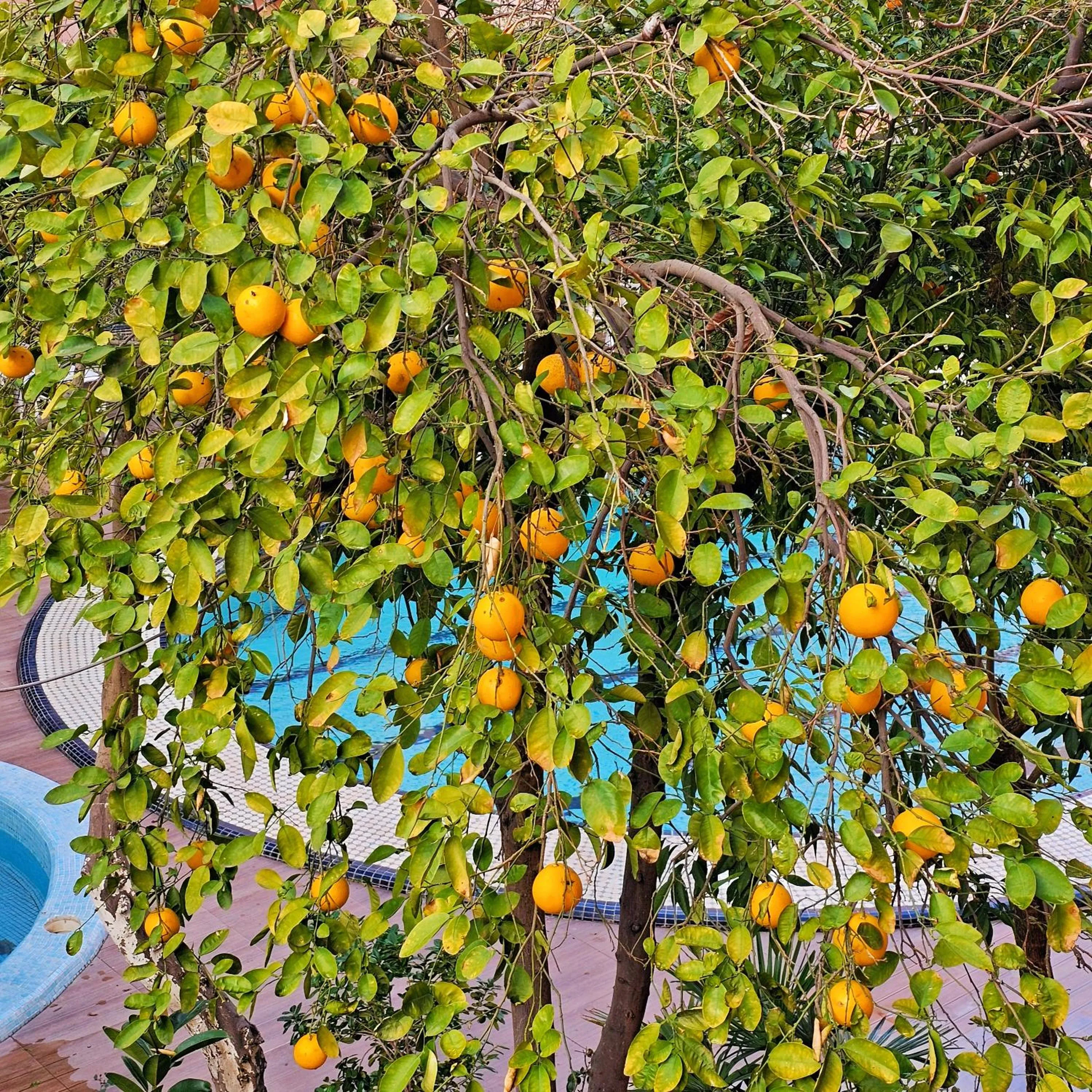 Hotel EZZAHIA by HMS