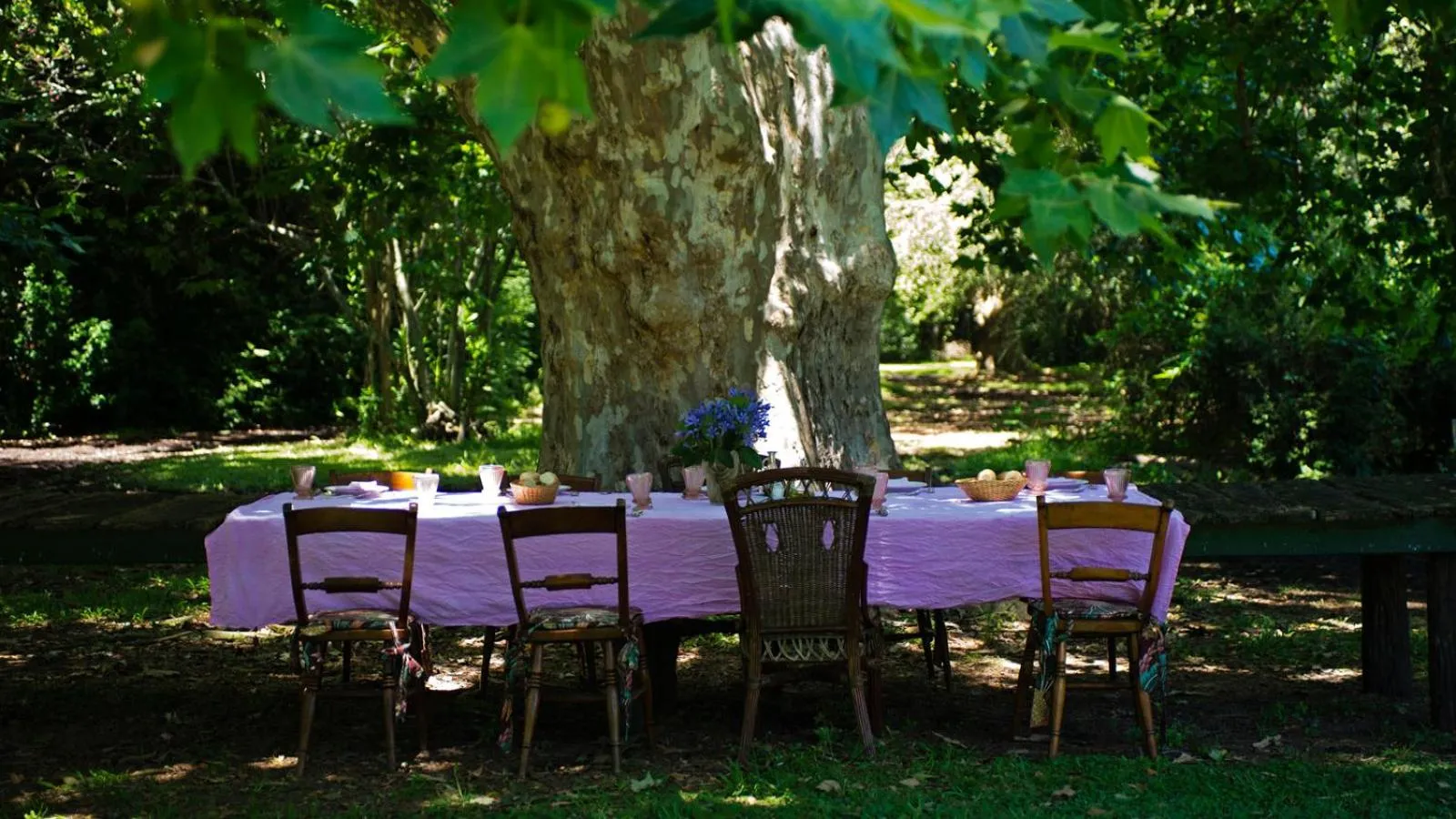 Garden view in Estancia La Bandada