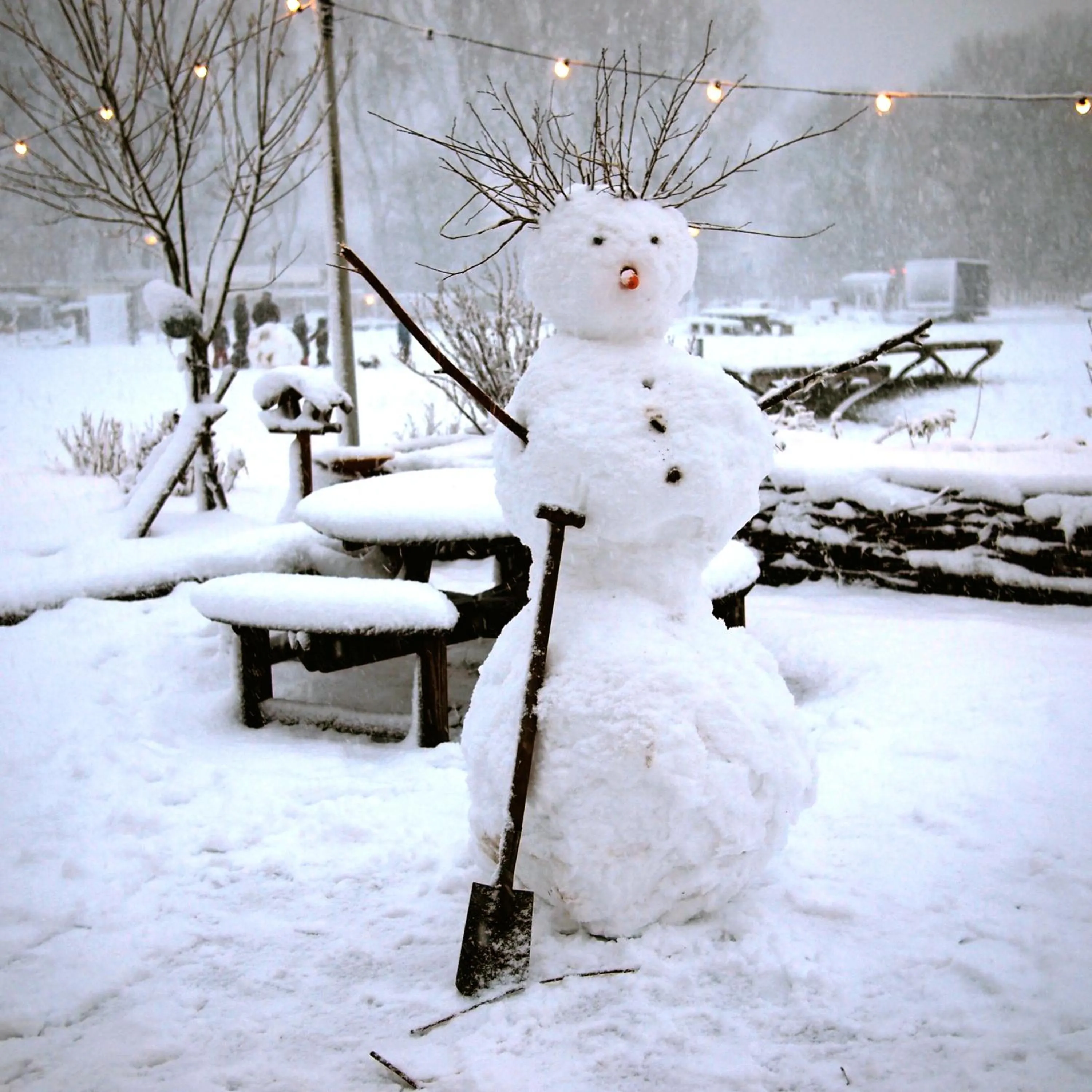 Activities in Amsterdam Farm Lodge