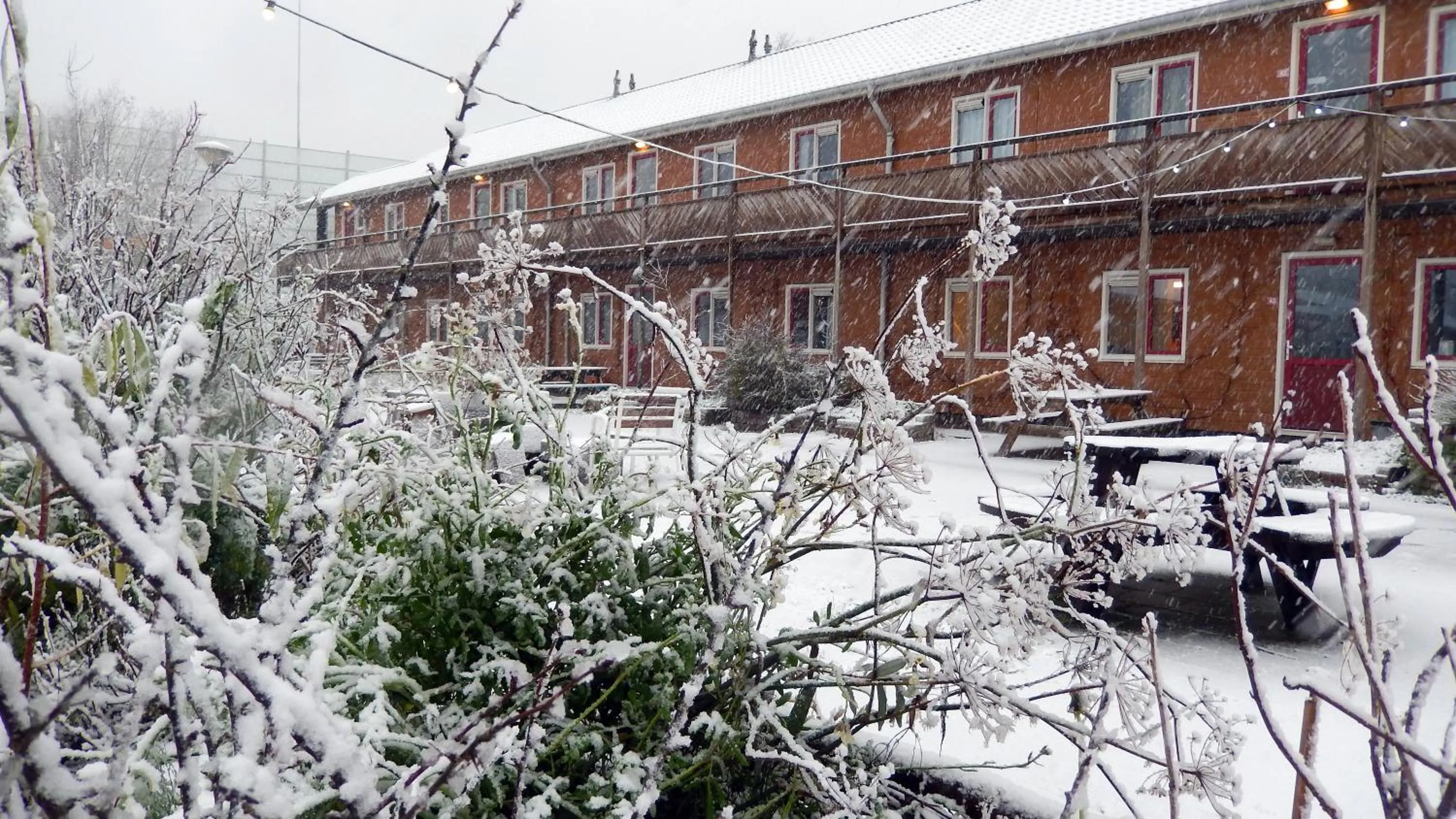 Balcony/Terrace in Amsterdam Farm Lodge