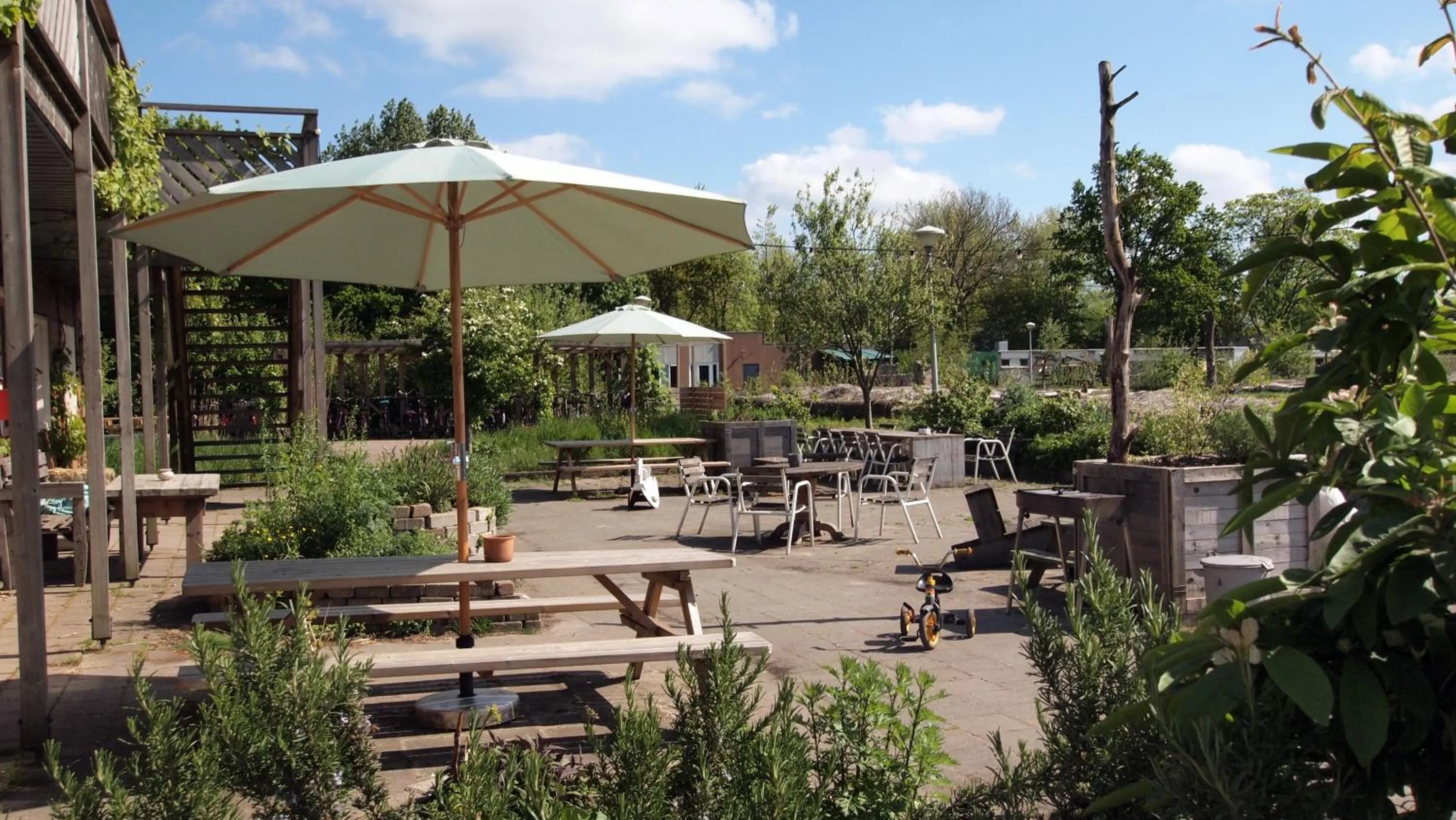 Garden in Amsterdam Farm Lodge