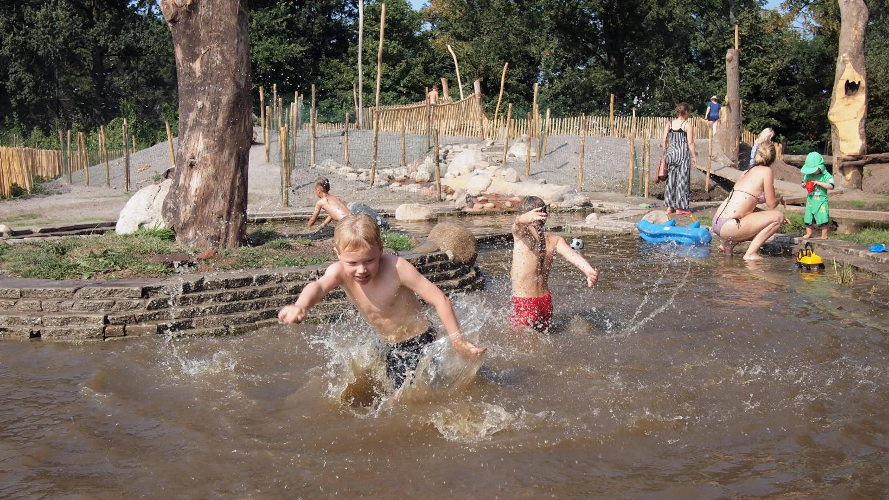 Activities in Amsterdam Farm Lodge