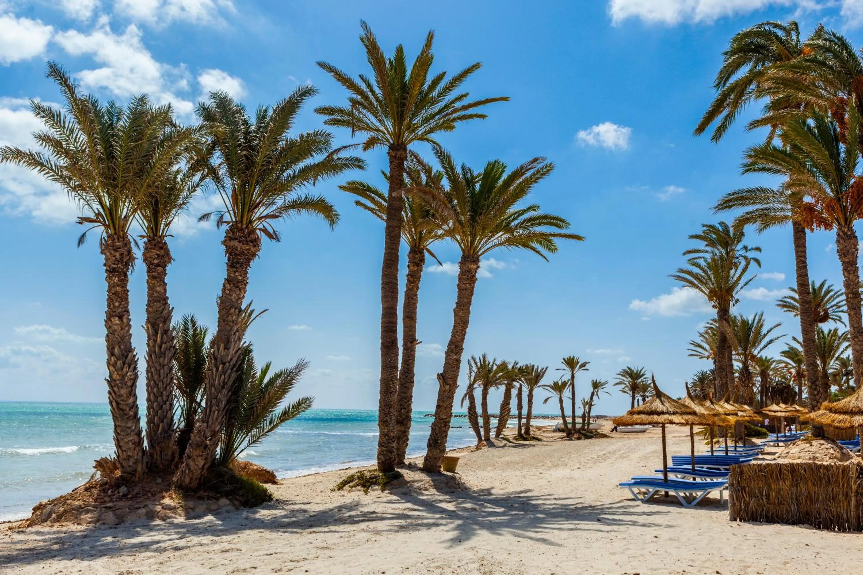 Beach in Hari Club Beach Resort