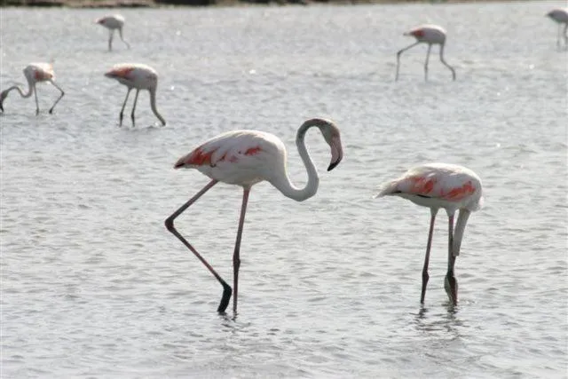 Property building in Hotel Villa Pimpina