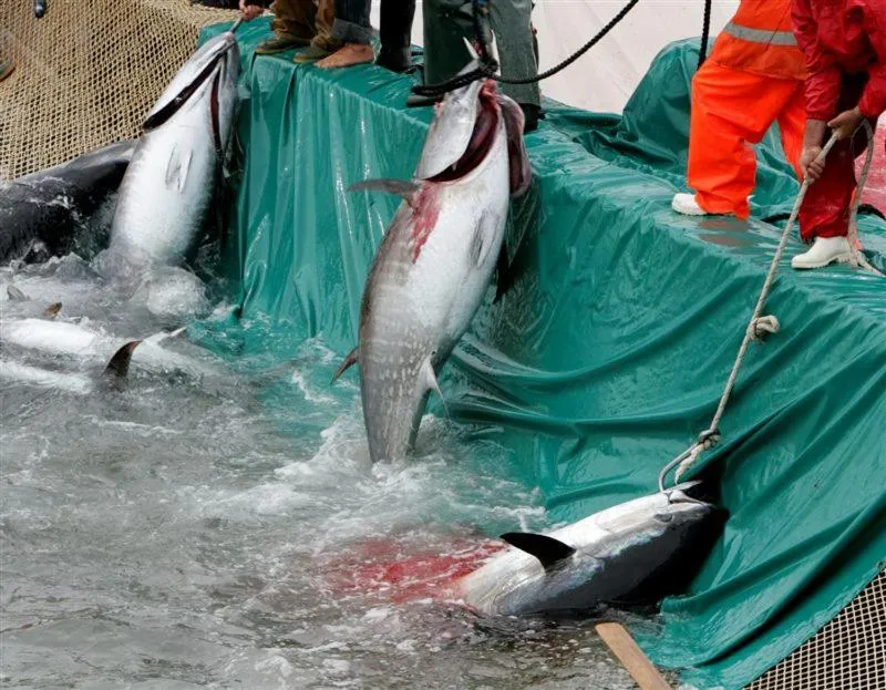 Property building in Hotel Villa Pimpina