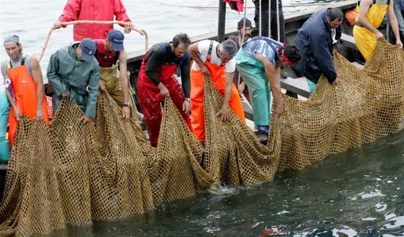 Property building in Hotel Villa Pimpina