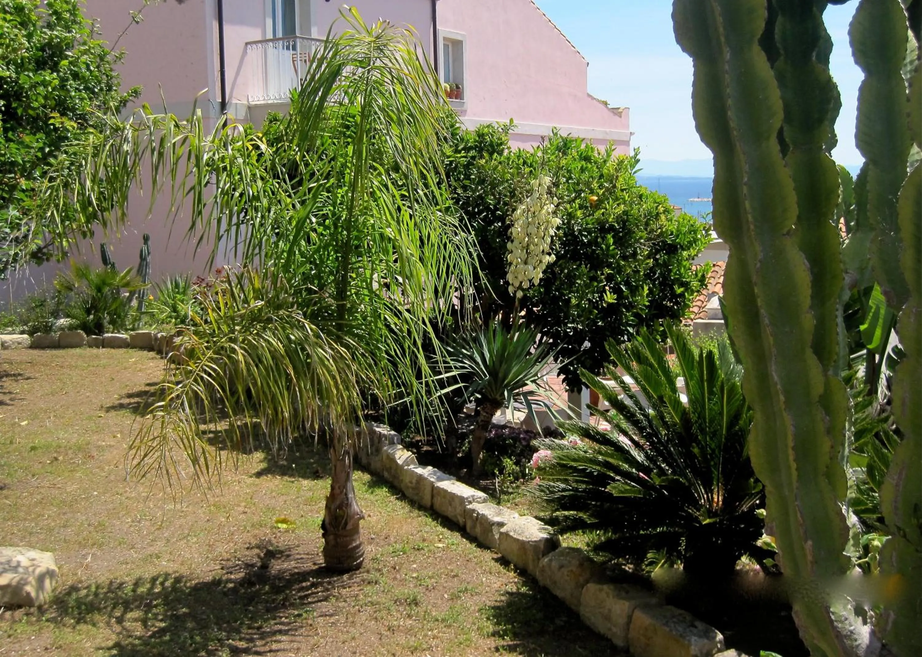 Garden in Hotel Villa Pimpina