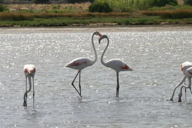 Property building in Hotel Villa Pimpina