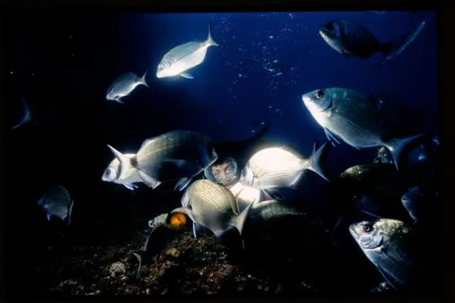 Property building in Hotel Villa Pimpina