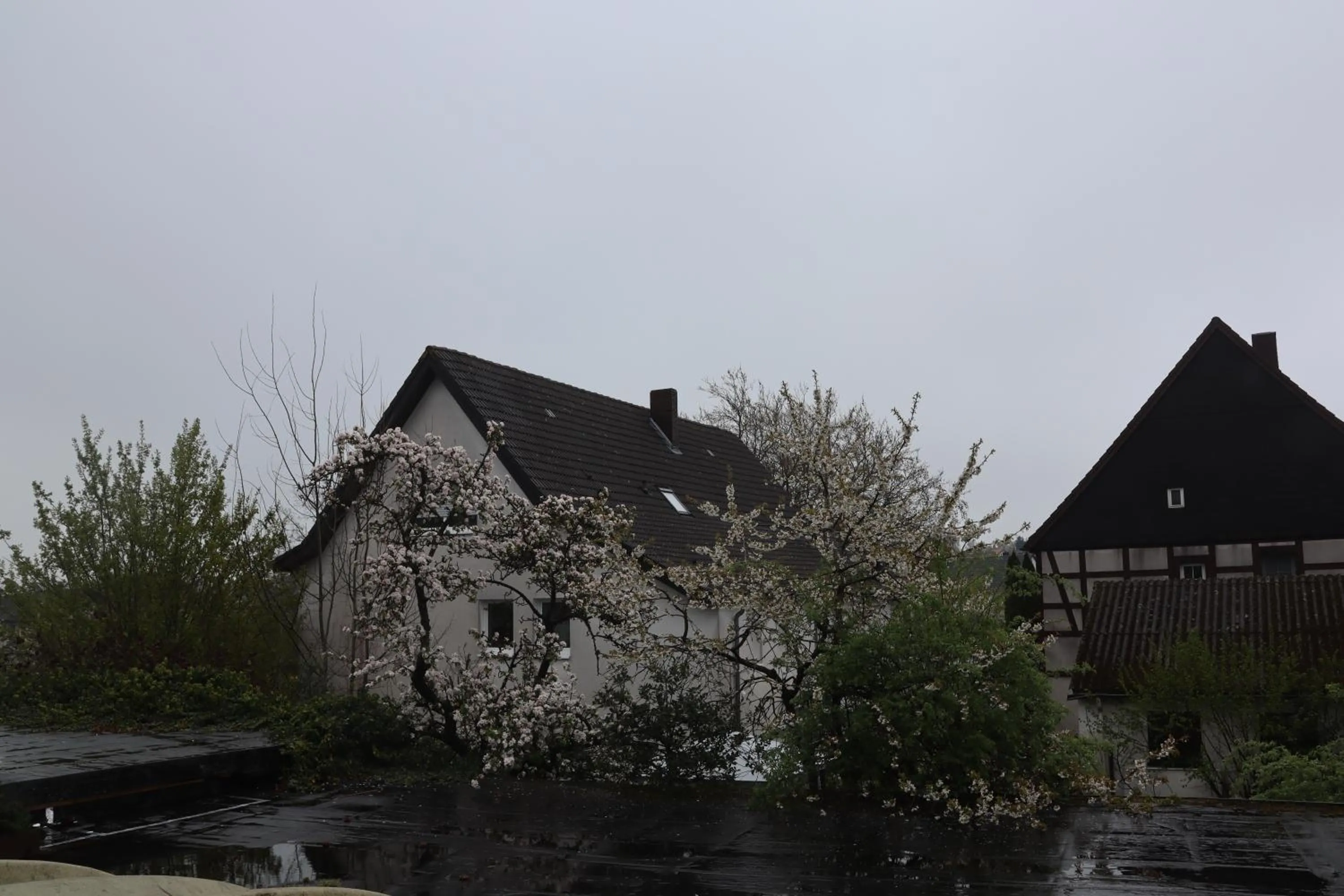 Neighbourhood in Hotel Haarener Hof