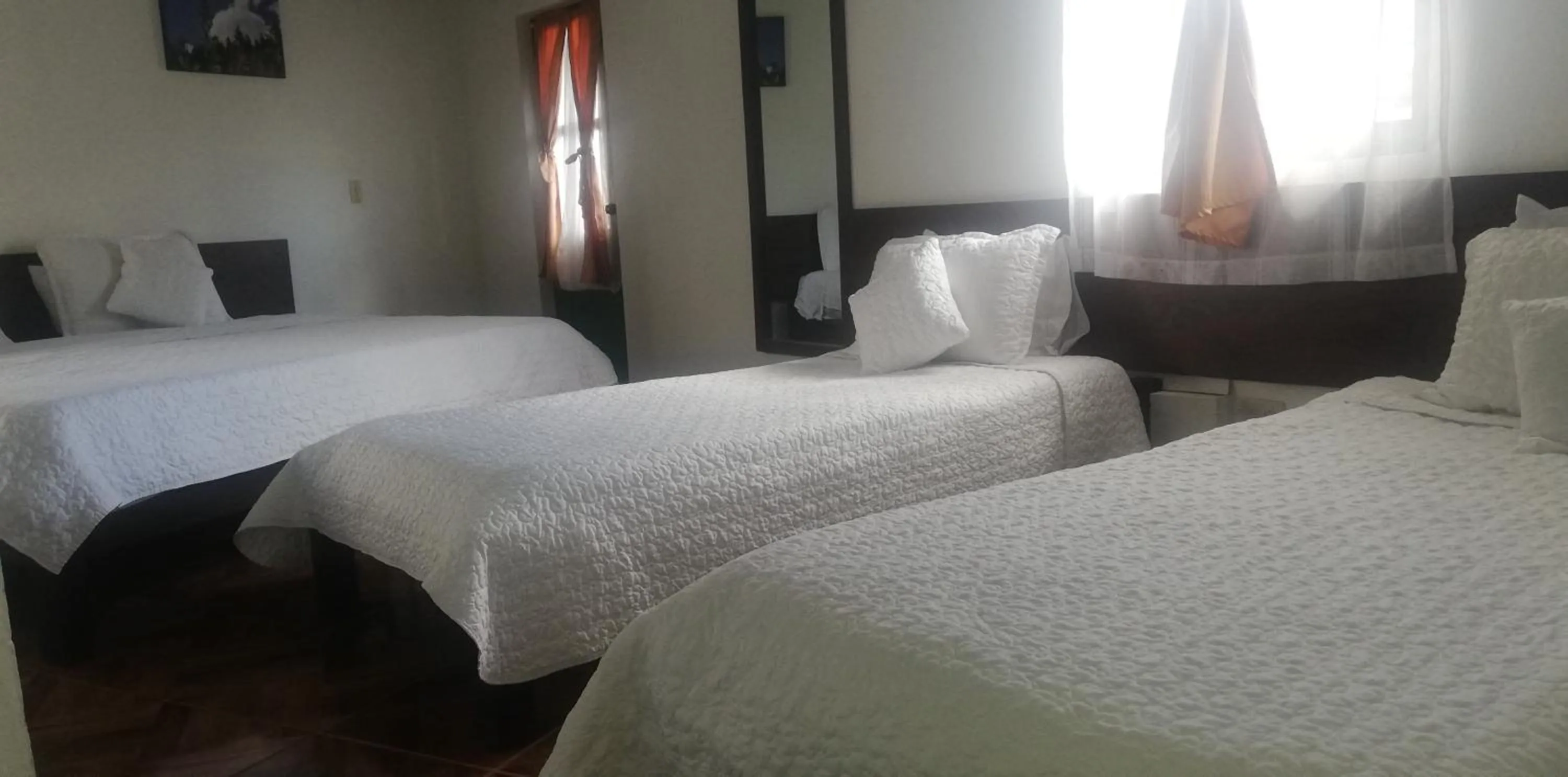Photo of the whole room, Bed in Esquina Colonial